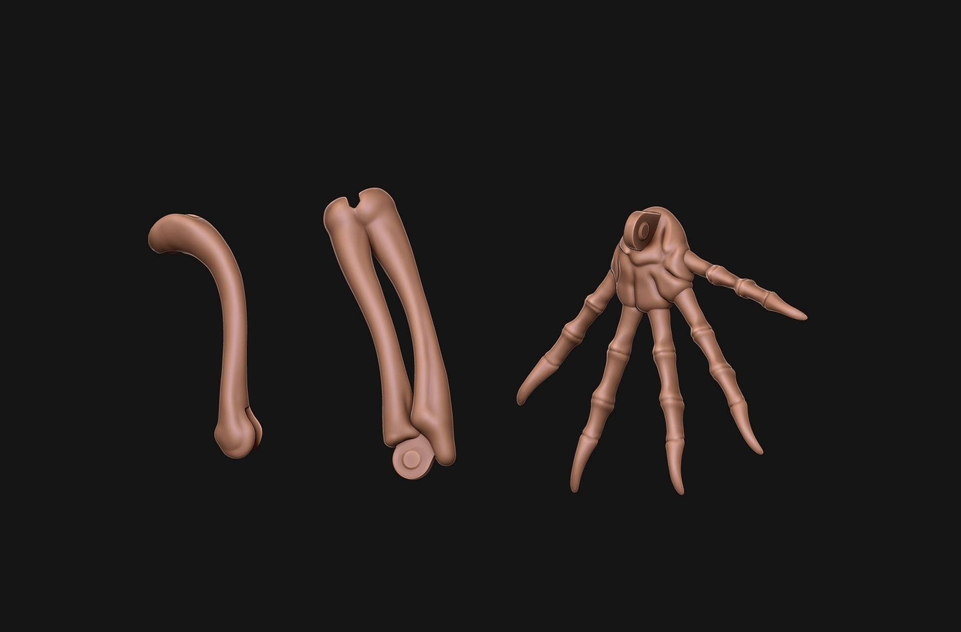 Gecko Skeleton DYS kit 3D print model_17