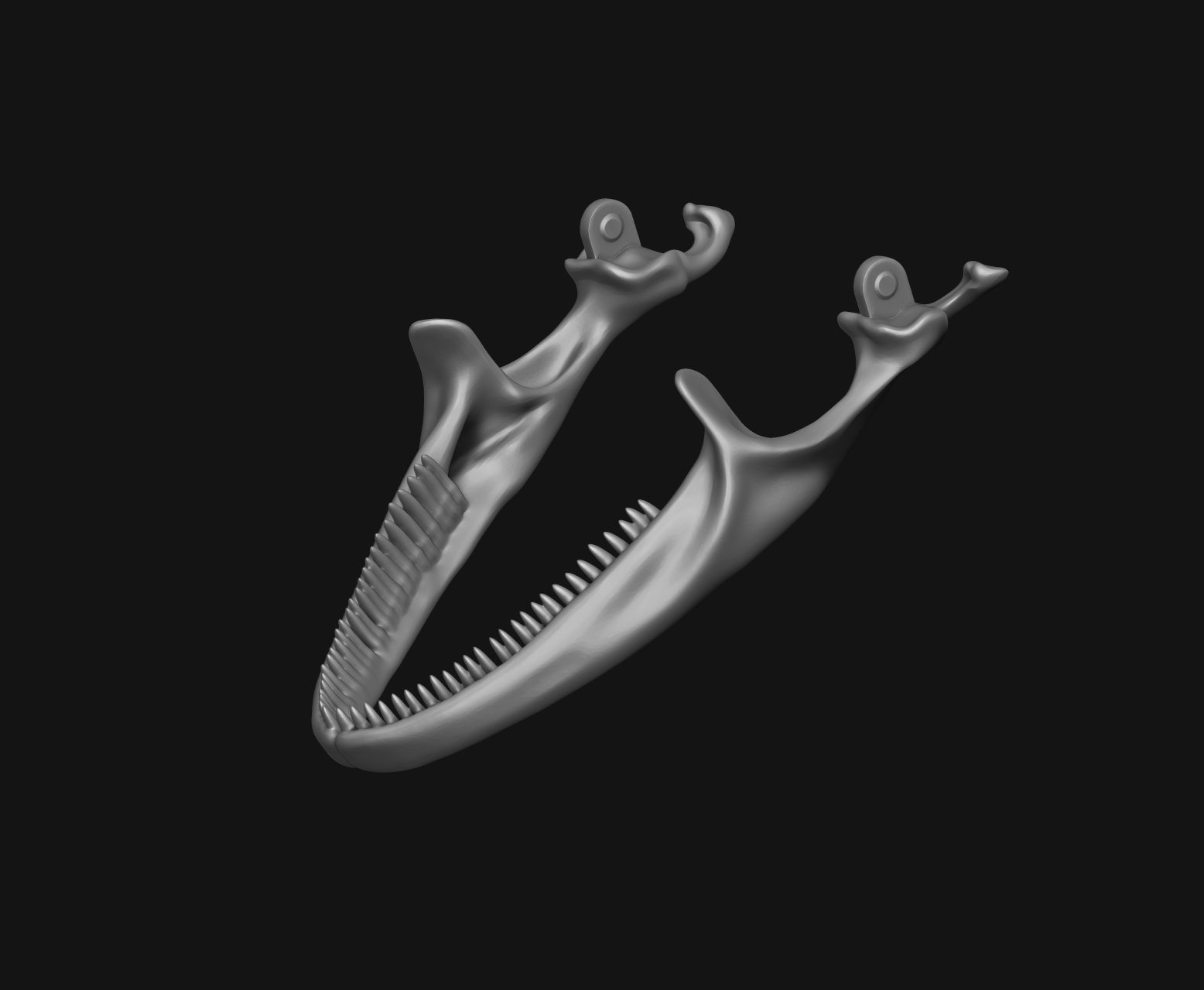Gecko Skeleton DYS kit 3D print model_4