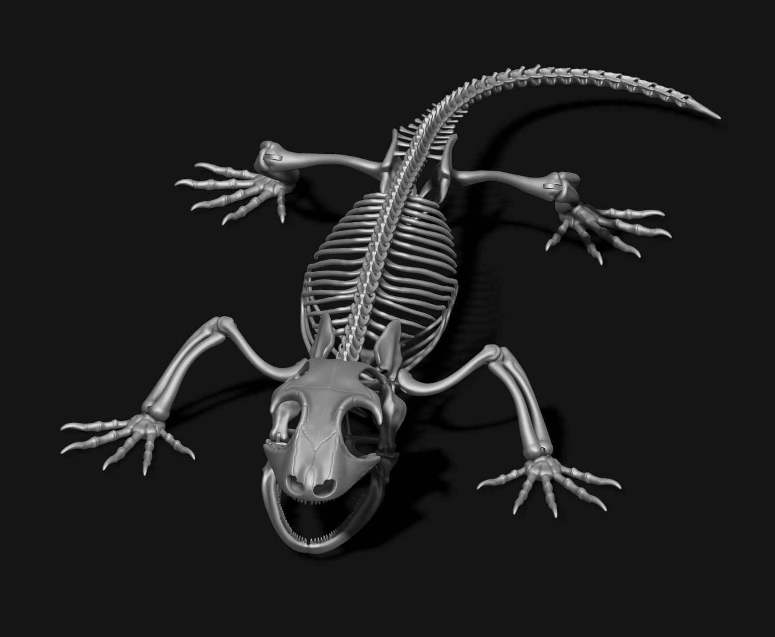 Gecko Skeleton DYS kit 3D print model_2