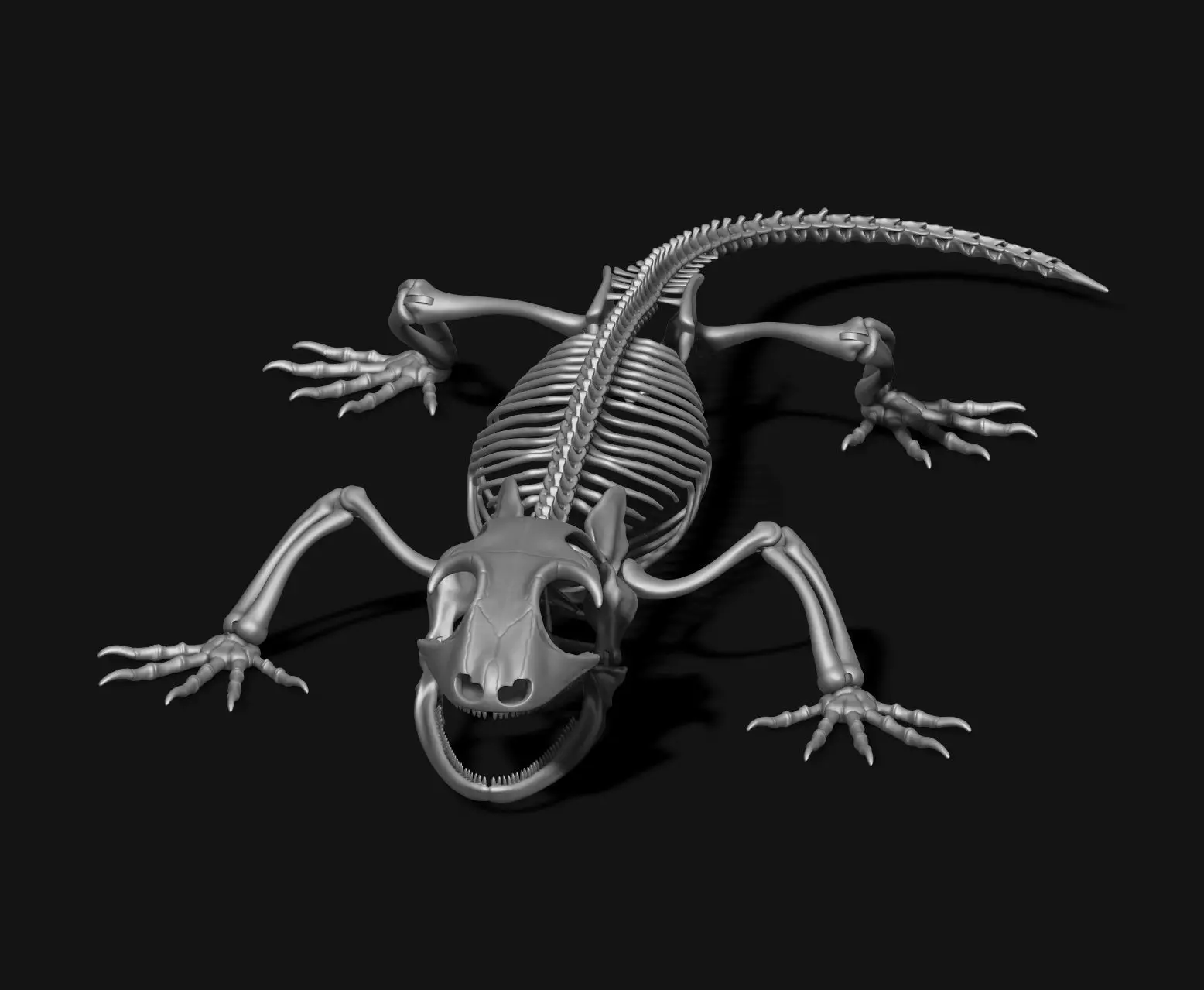 Gecko Skeleton DYS kit 3D print model_0