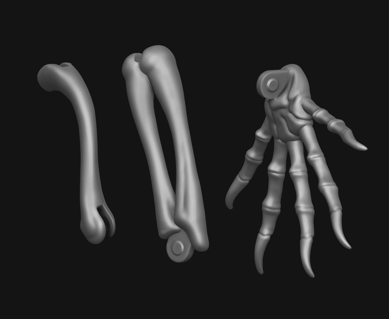 Gecko Skeleton DYS kit 3D print model_8
