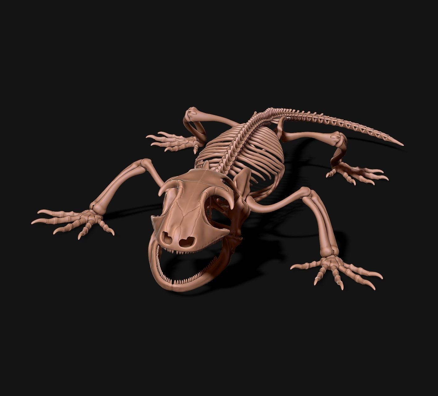 Gecko Skeleton DYS kit 3D print model_9