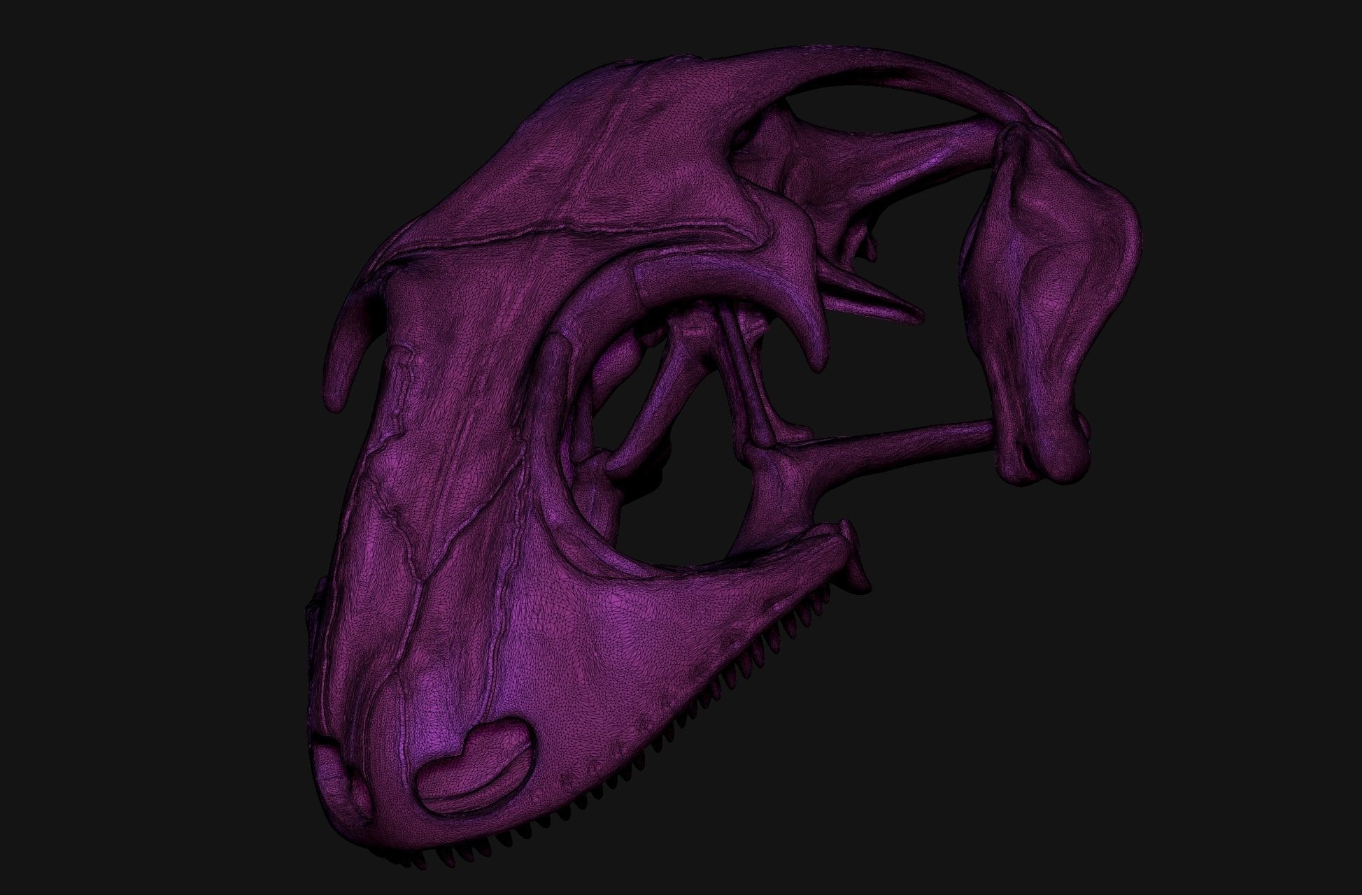 Gecko Skeleton DYS kit 3D print model_18