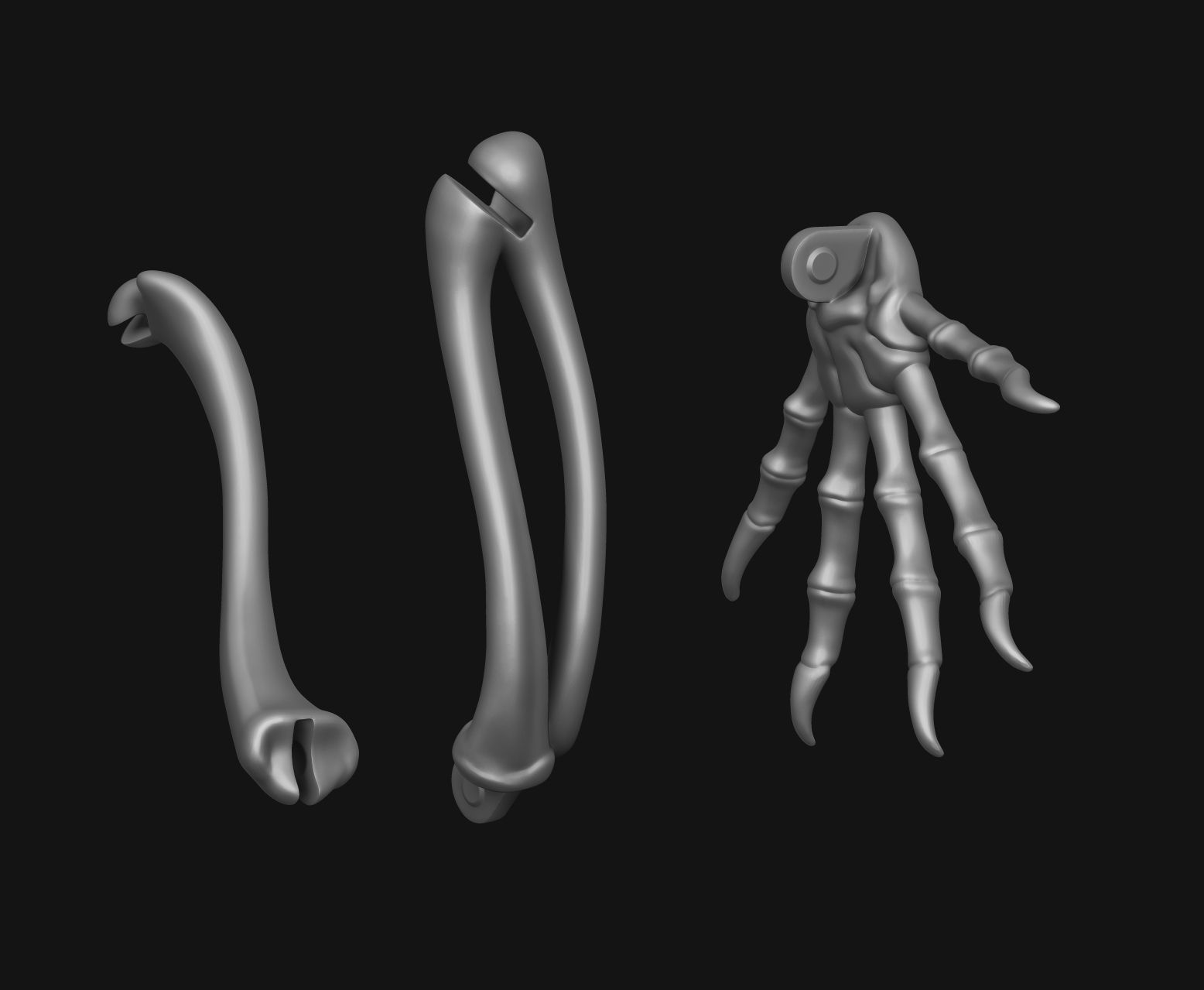 Gecko Skeleton DYS kit 3D print model_7