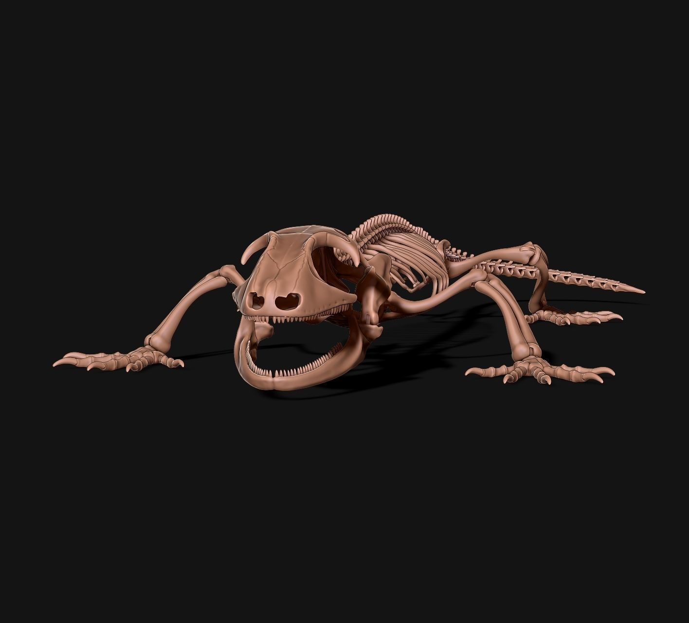 Gecko Skeleton DYS kit 3D print model_11