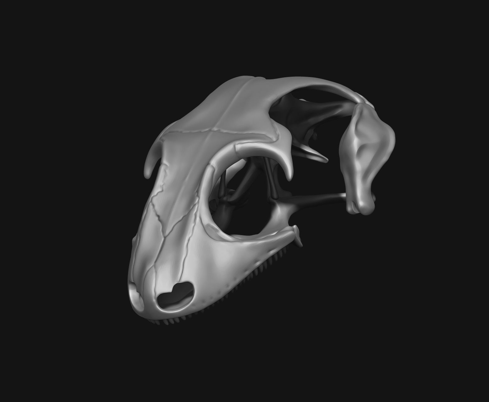 Gecko Skeleton DYS kit 3D print model_5