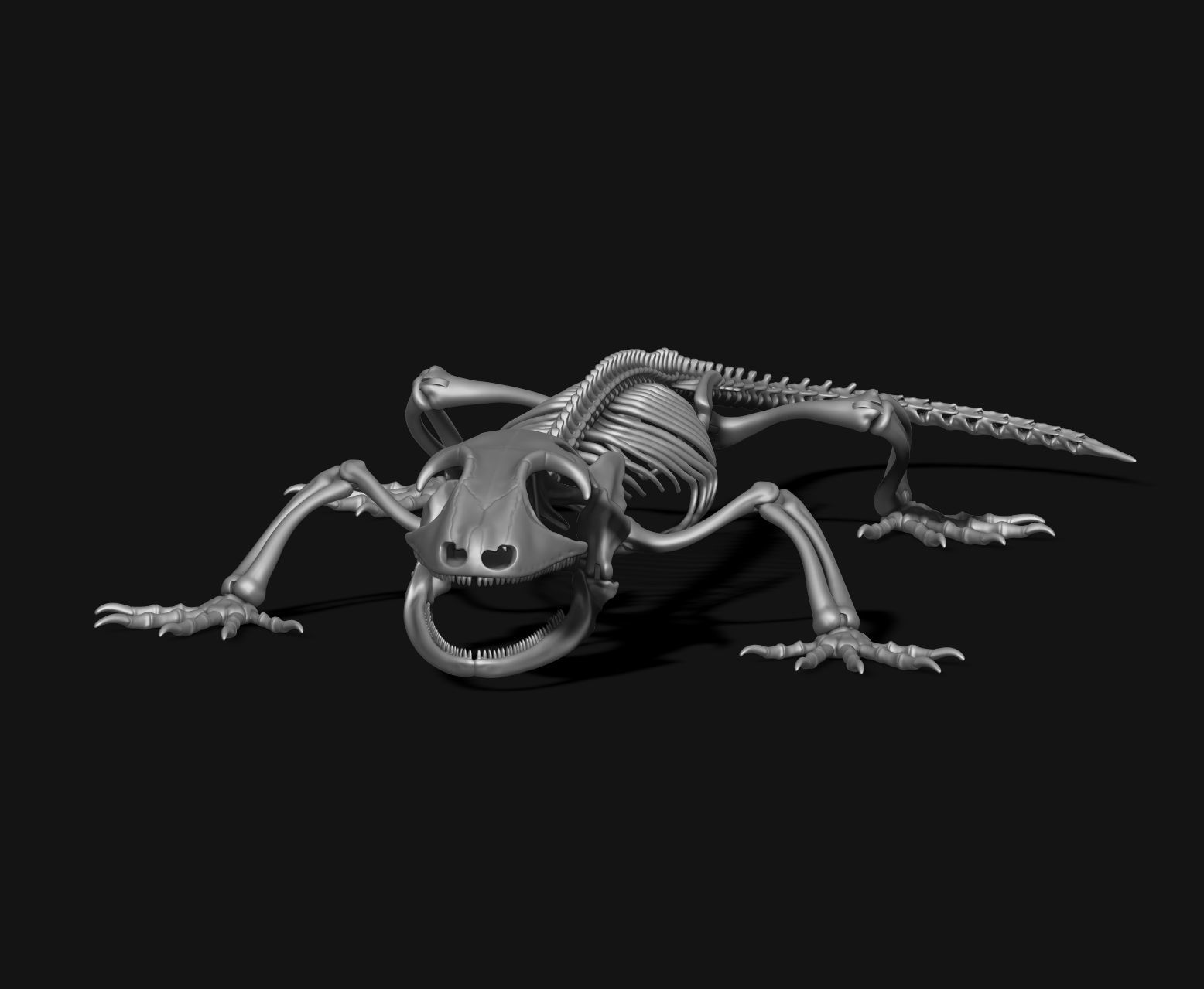 Gecko Skeleton DYS kit 3D print model_1