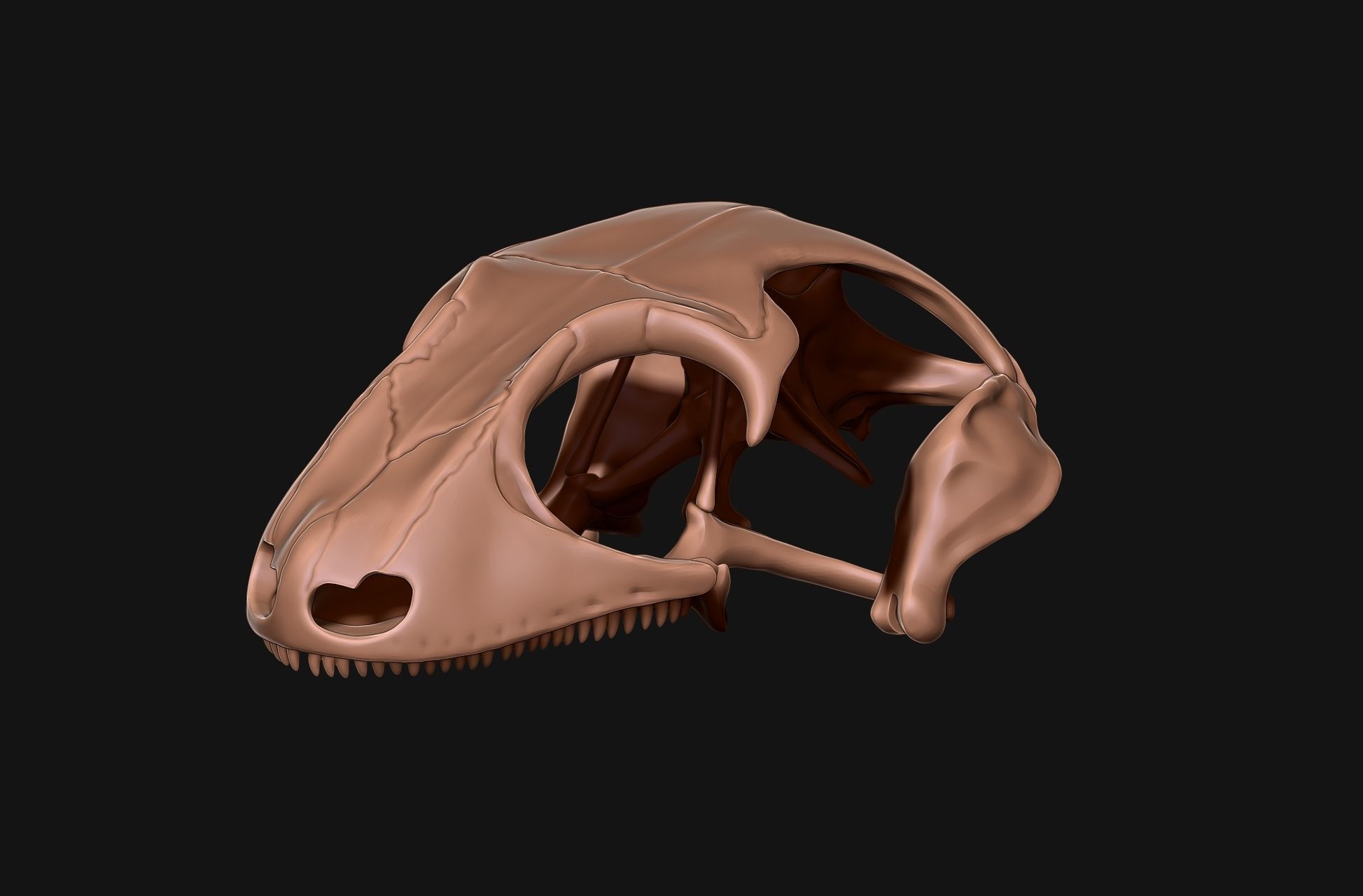 Gecko Skeleton DYS kit 3D print model_13
