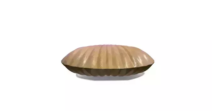 Oyster 3D Model shell 3D model