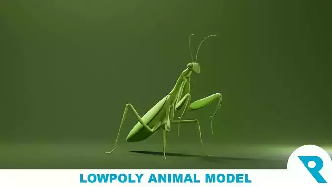 Mantis Base Mesh Low-poly 3D model