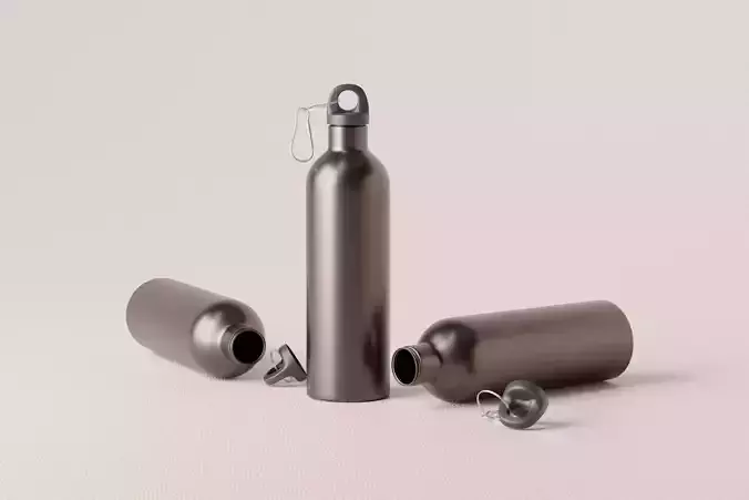 Stainless Steel Water Bottle