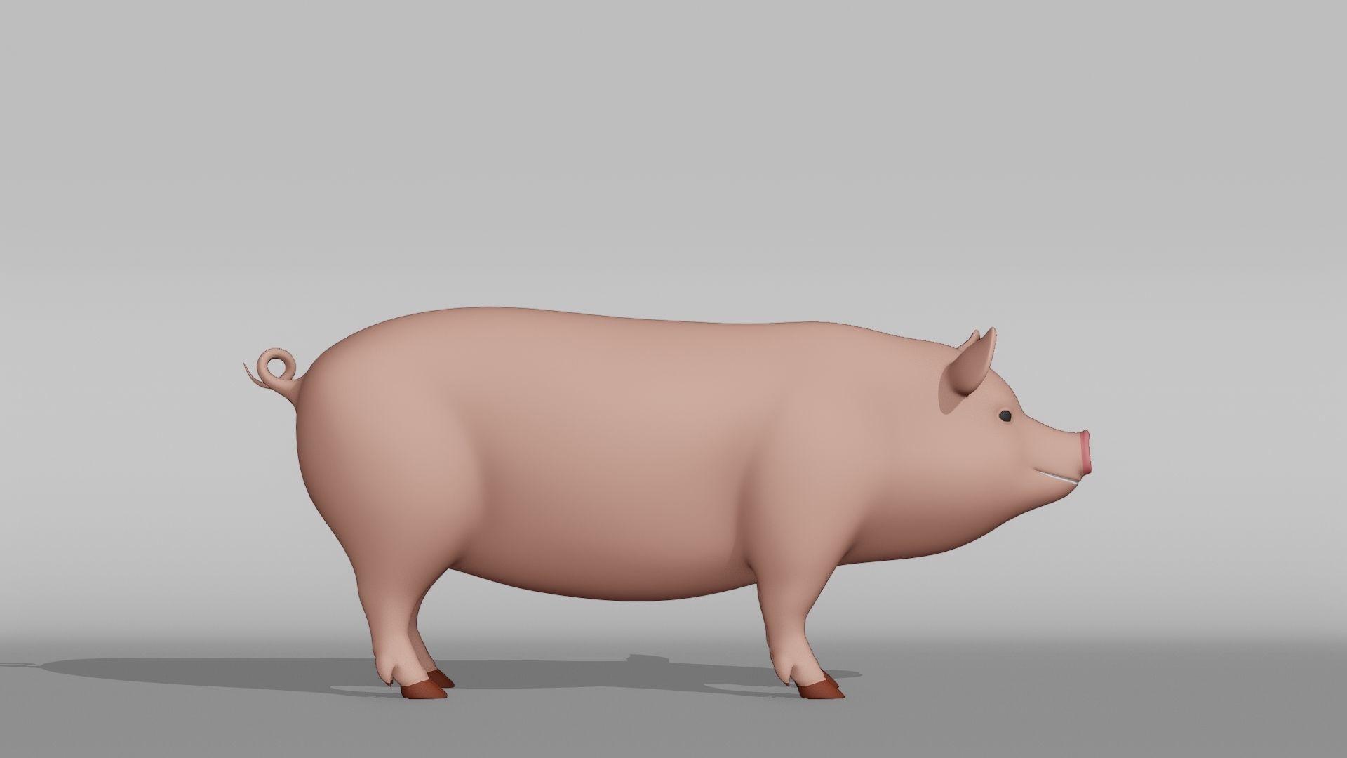 Pig Base Mesh Low-poly 3D model_8