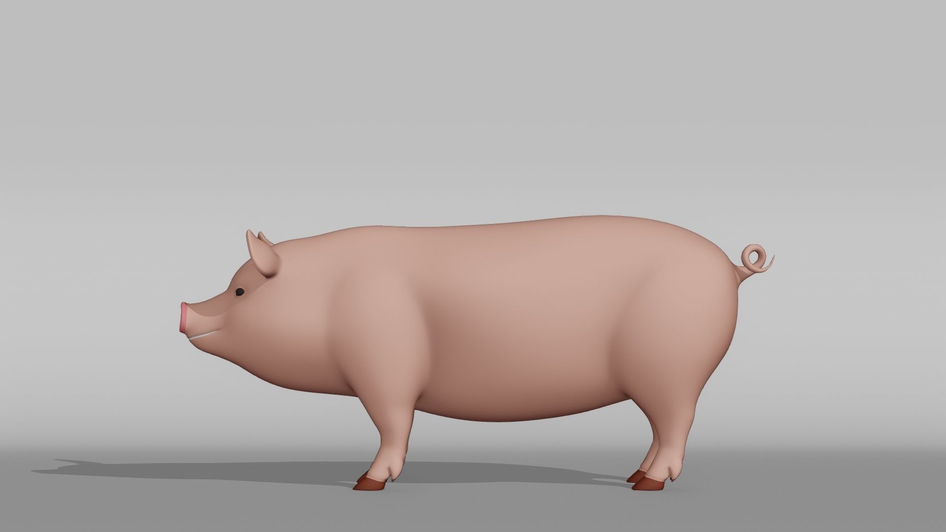 Pig Base Mesh Low-poly 3D model_10