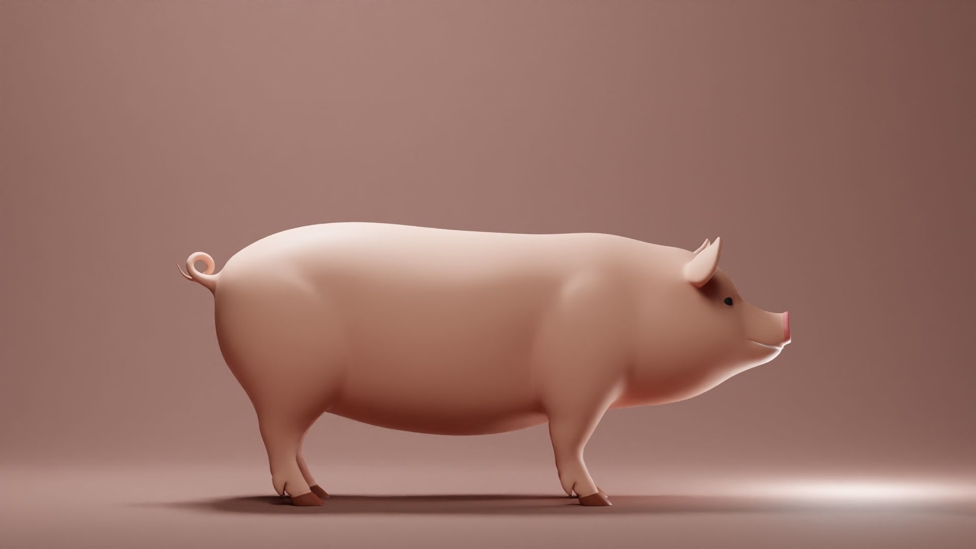 Pig Base Mesh Low-poly 3D model_3
