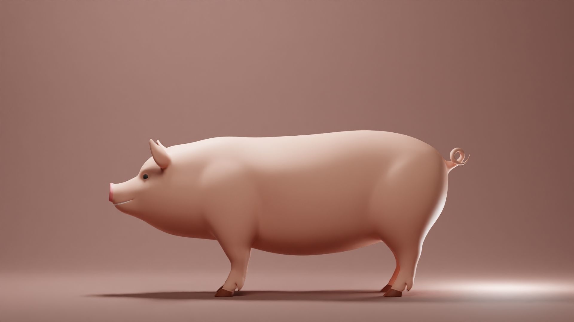Pig Base Mesh Low-poly 3D model_5