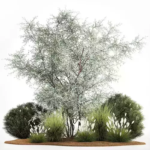 Elaeagnus Topiary And Bushes For The Garden 1189 3D model