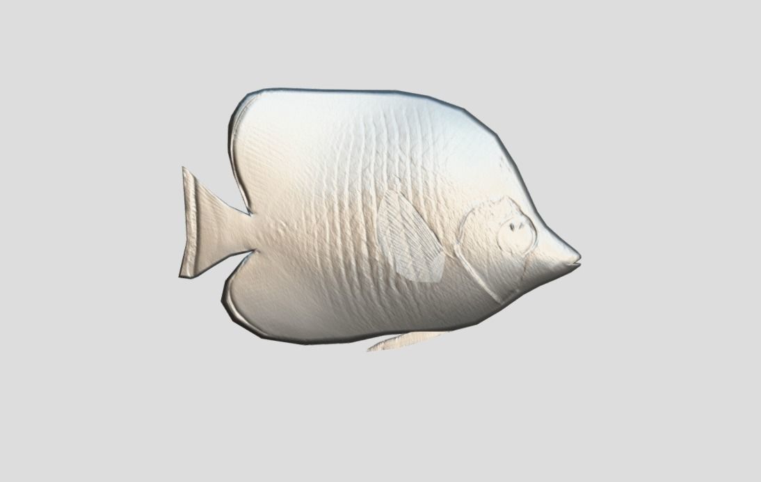 Bluecheek butterflyfish Low-poly 3D model_3