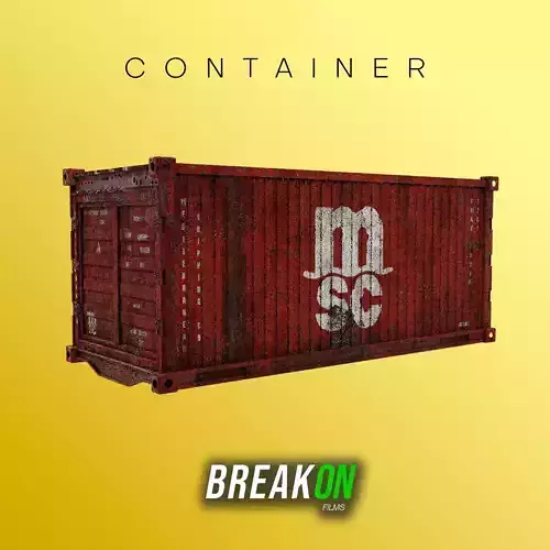 CONTAINER MSC Low-poly 3D model