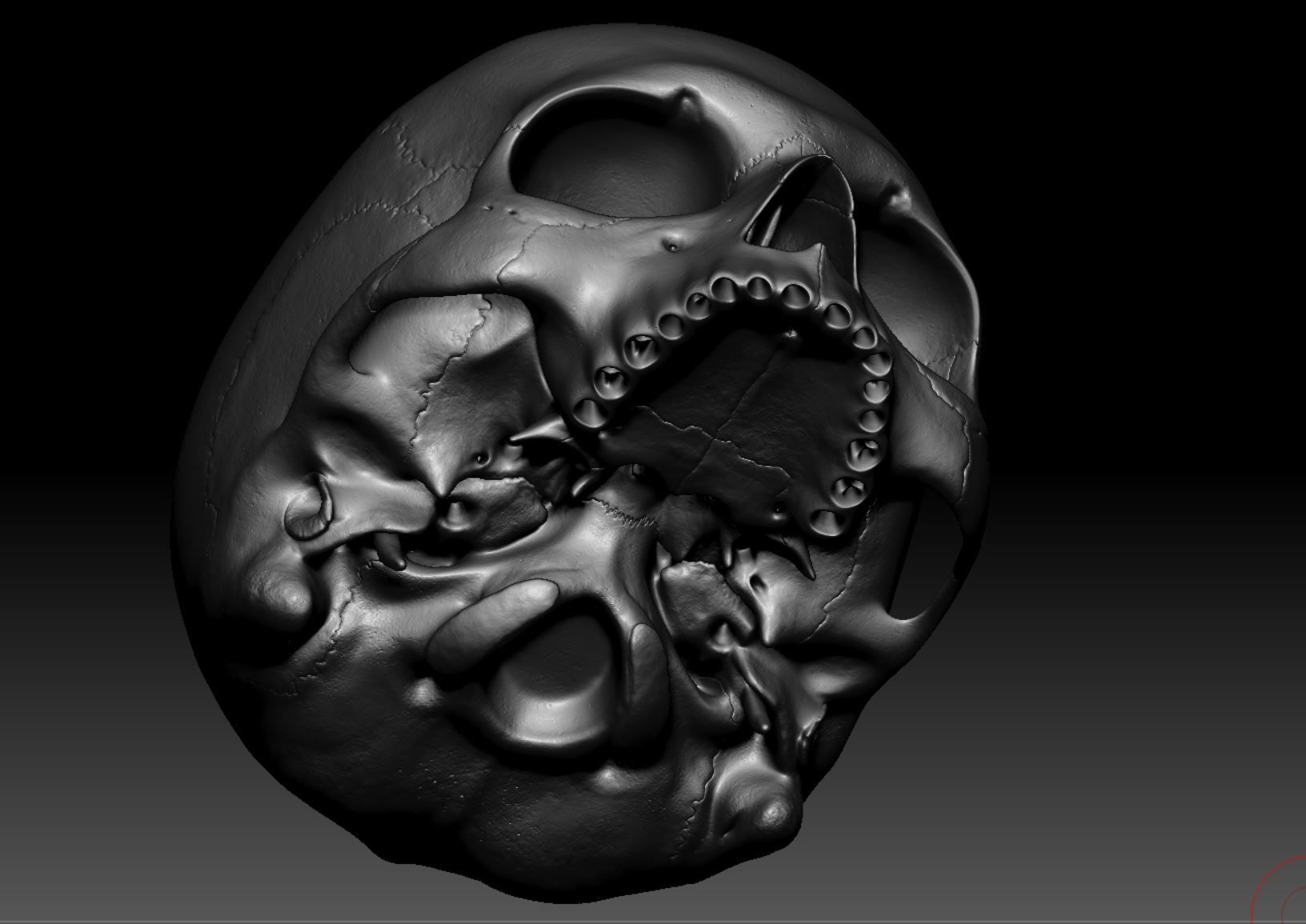 Skeleton - Skeletal System - 3D Printing 3D print model_136