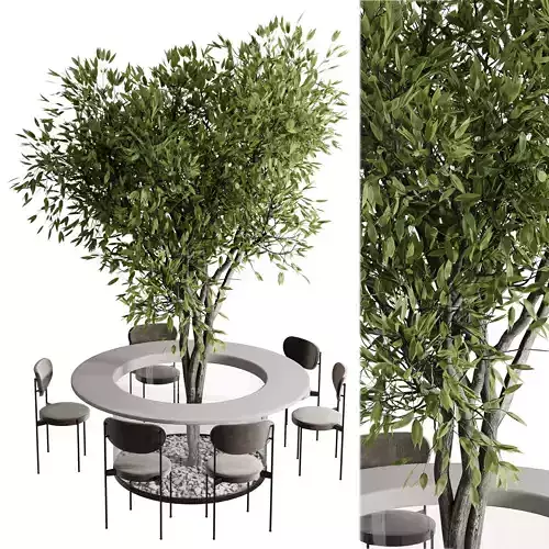 Plant in Dining Table Set 02 