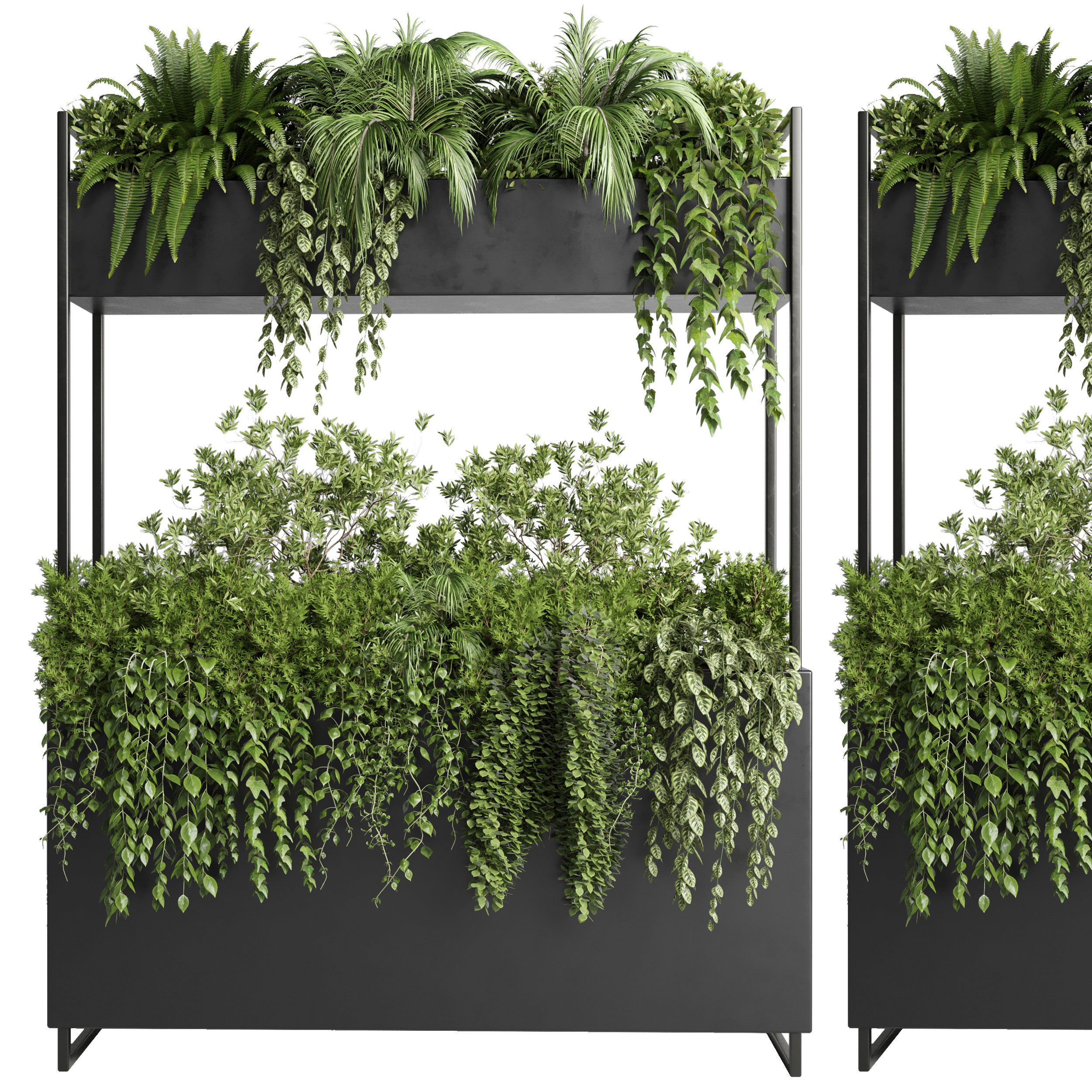 Box Plants on Stand - collection of houseplants indoor 346 Low-poly 3D model_1
