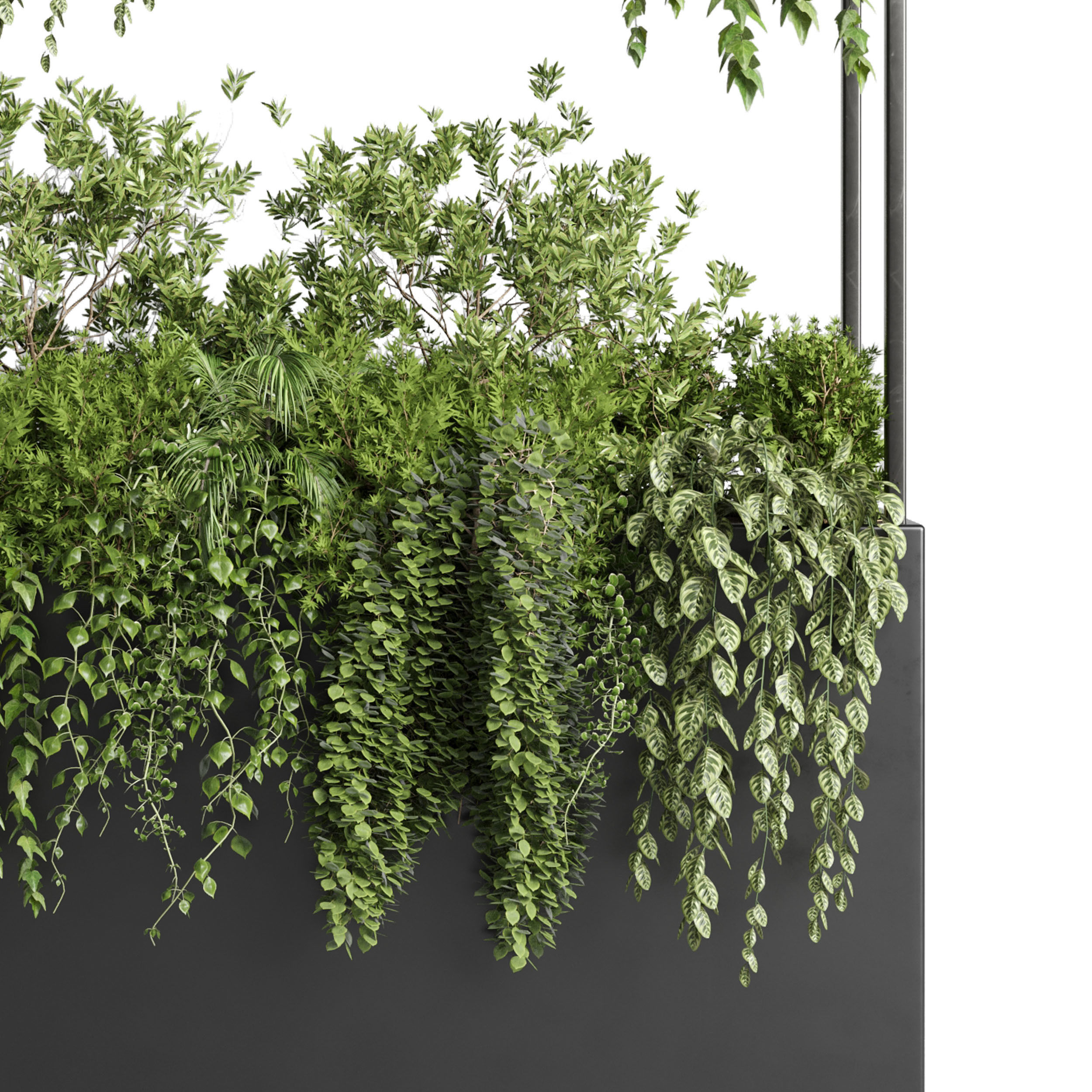 Box Plants on Stand - collection of houseplants indoor 346 Low-poly 3D model_3