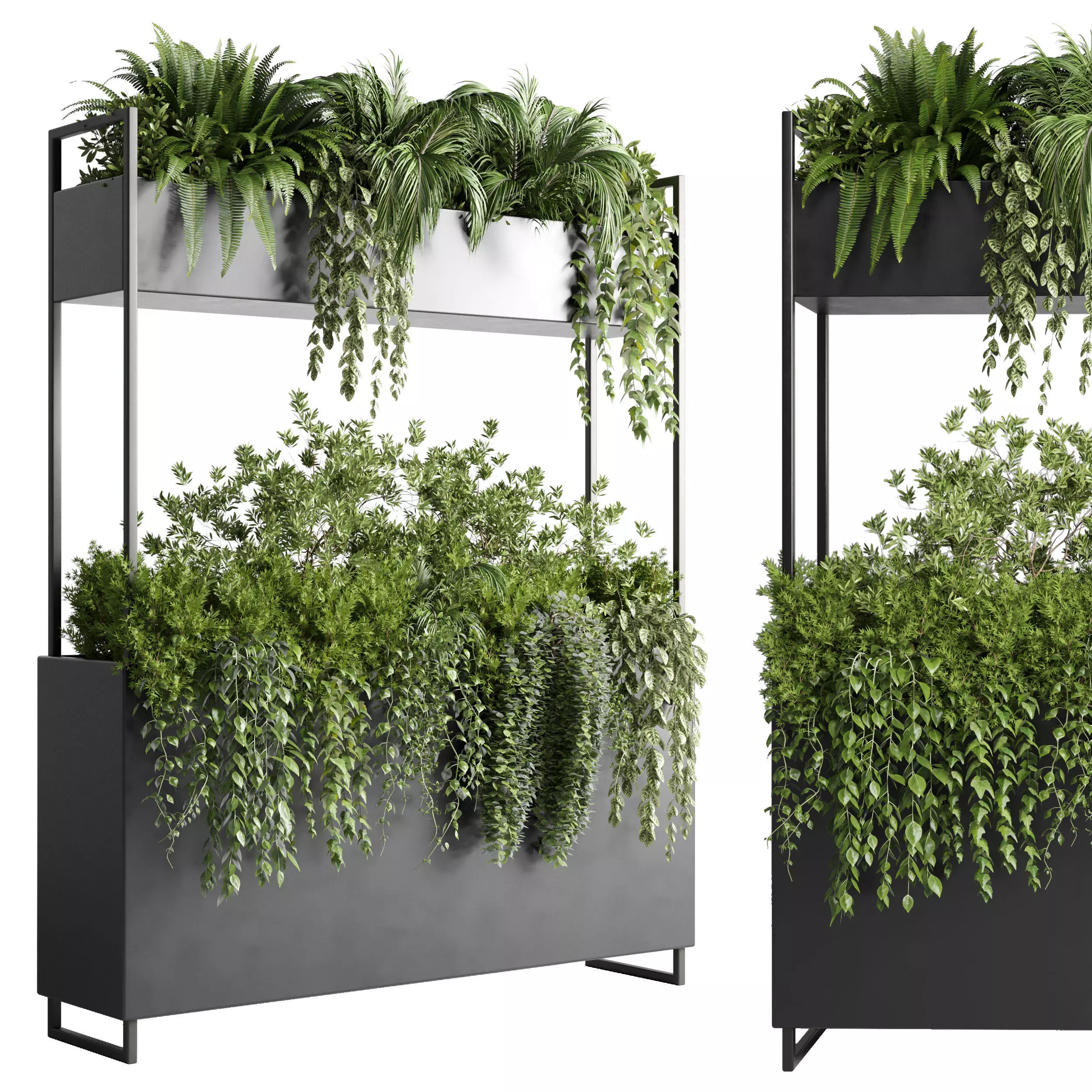 Box Plants on Stand - collection of houseplants indoor 346 Low-poly 3D model_0
