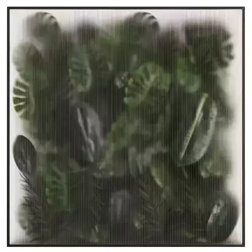 light box with tropical leaf garden in frame glass smoked 02 Low-poly 3D model