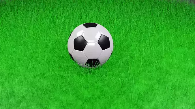 Football soccer ball on grass
