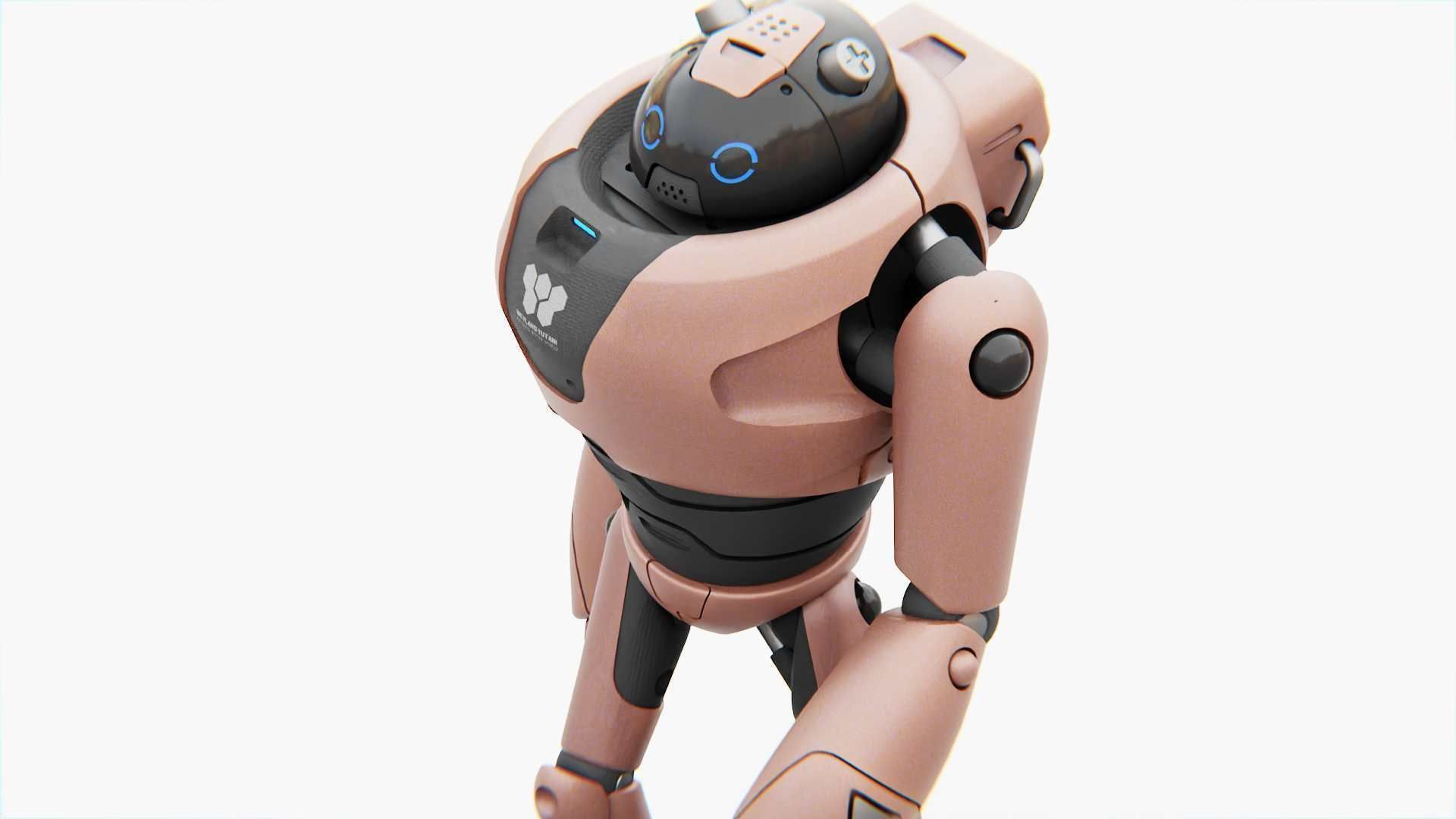 TOY BOT TILO RIGGED 3D model_26