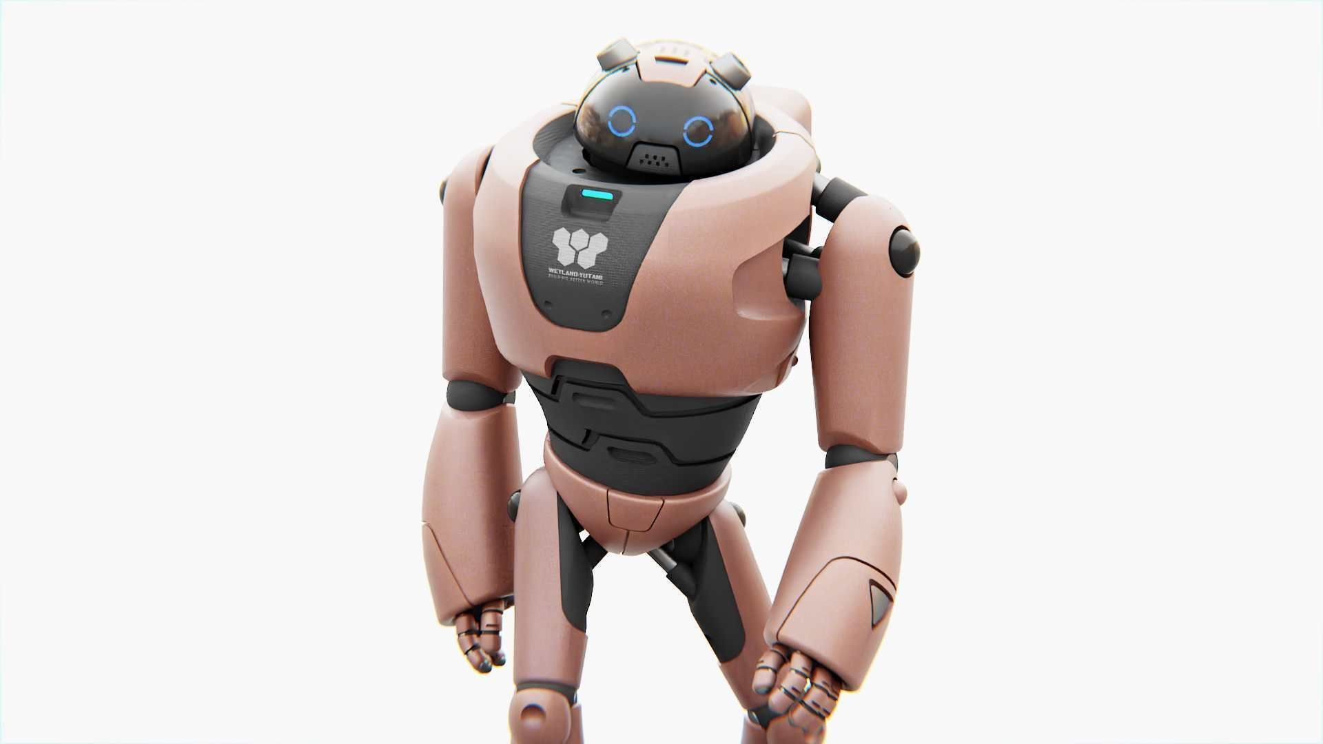 TOY BOT TILO RIGGED 3D model_17