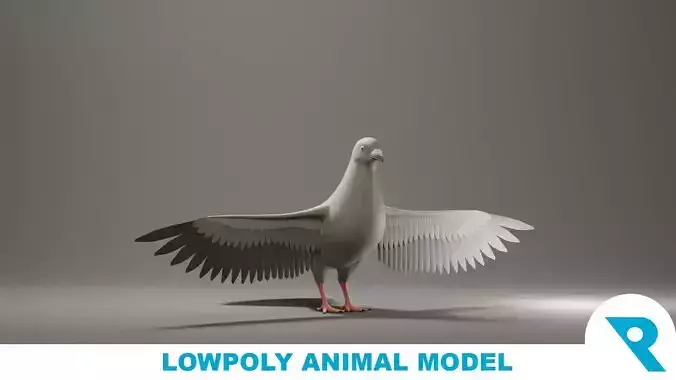 Pigeon Base Mesh Low-poly 3D model