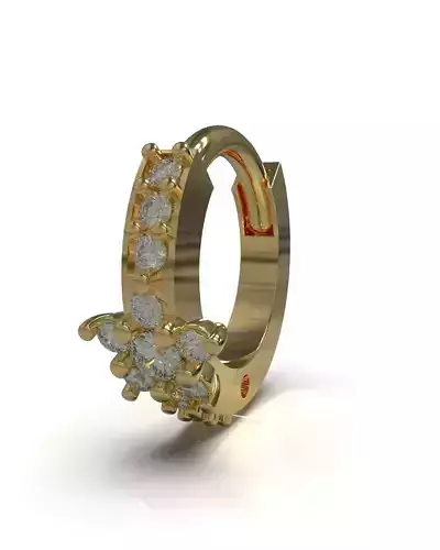 Earrings with star shape and gems