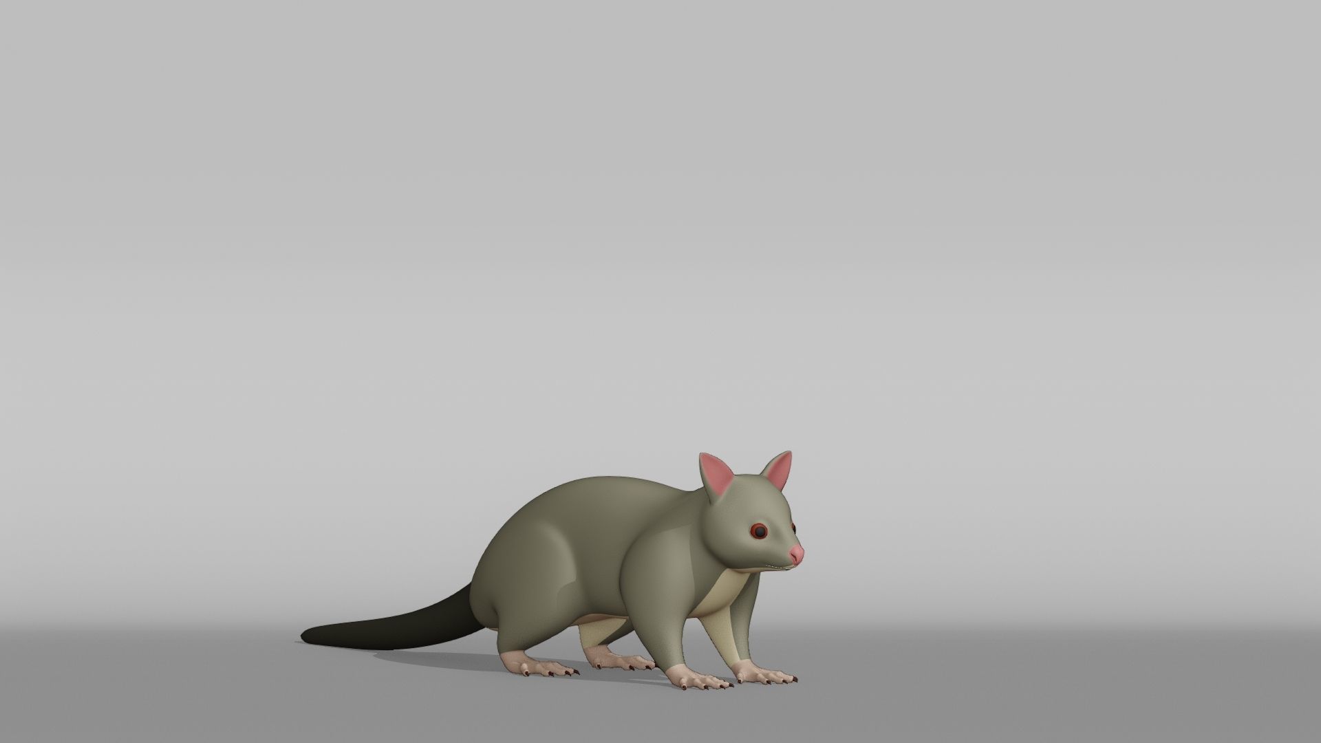 Possum Base Mesh Low-poly 3D model_6