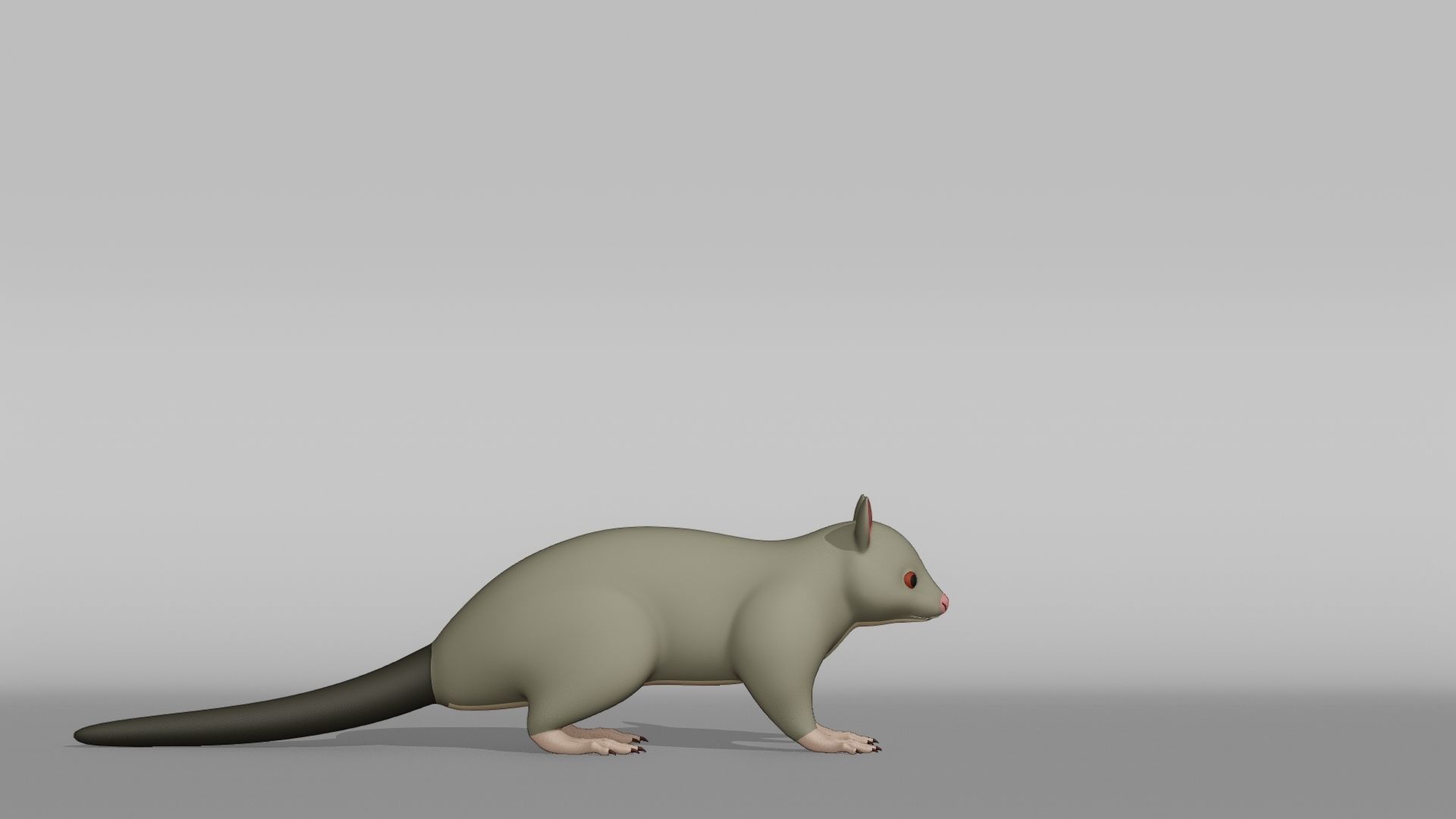 Possum Base Mesh Low-poly 3D model_8
