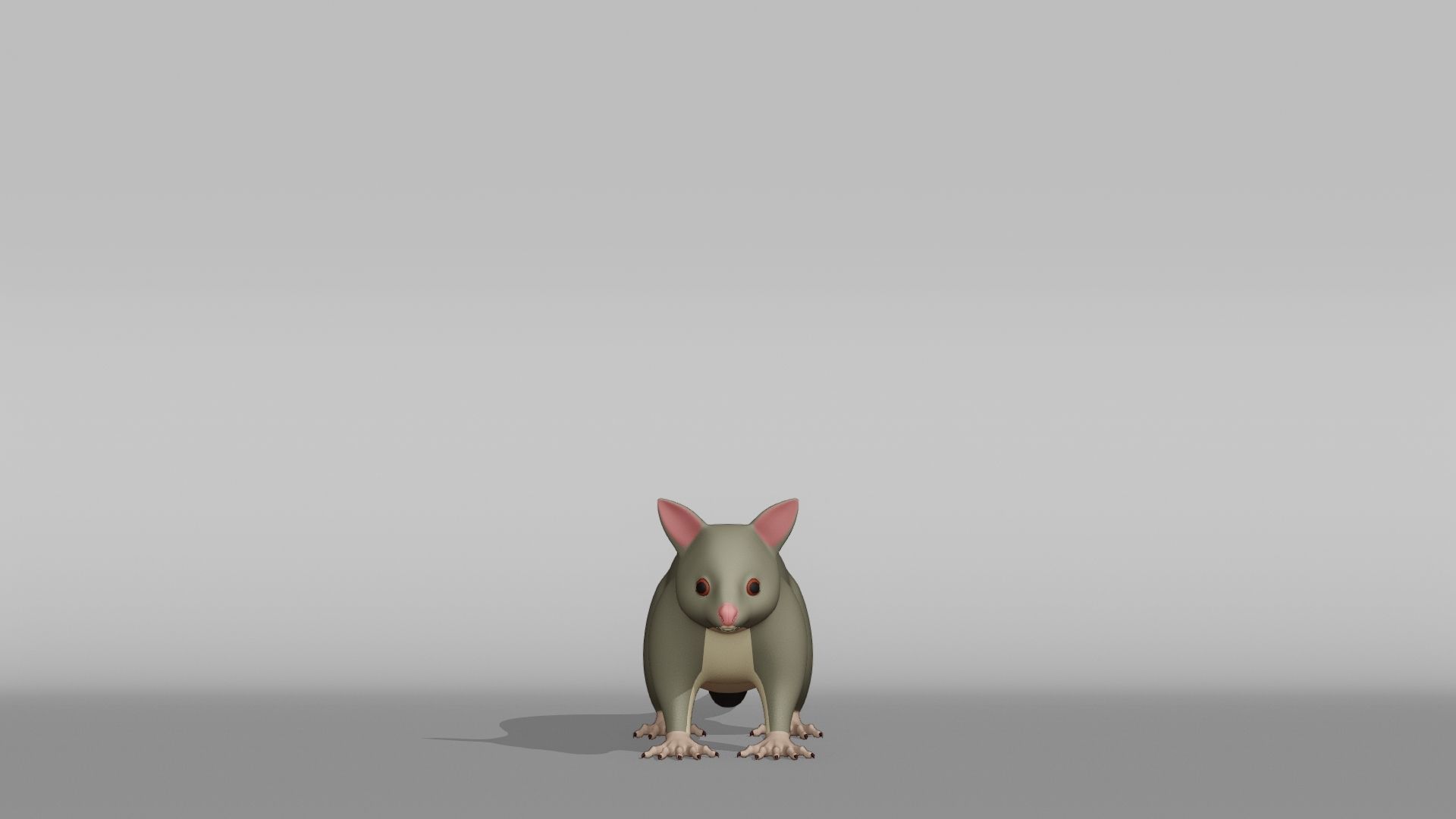 Possum Base Mesh Low-poly 3D model_7