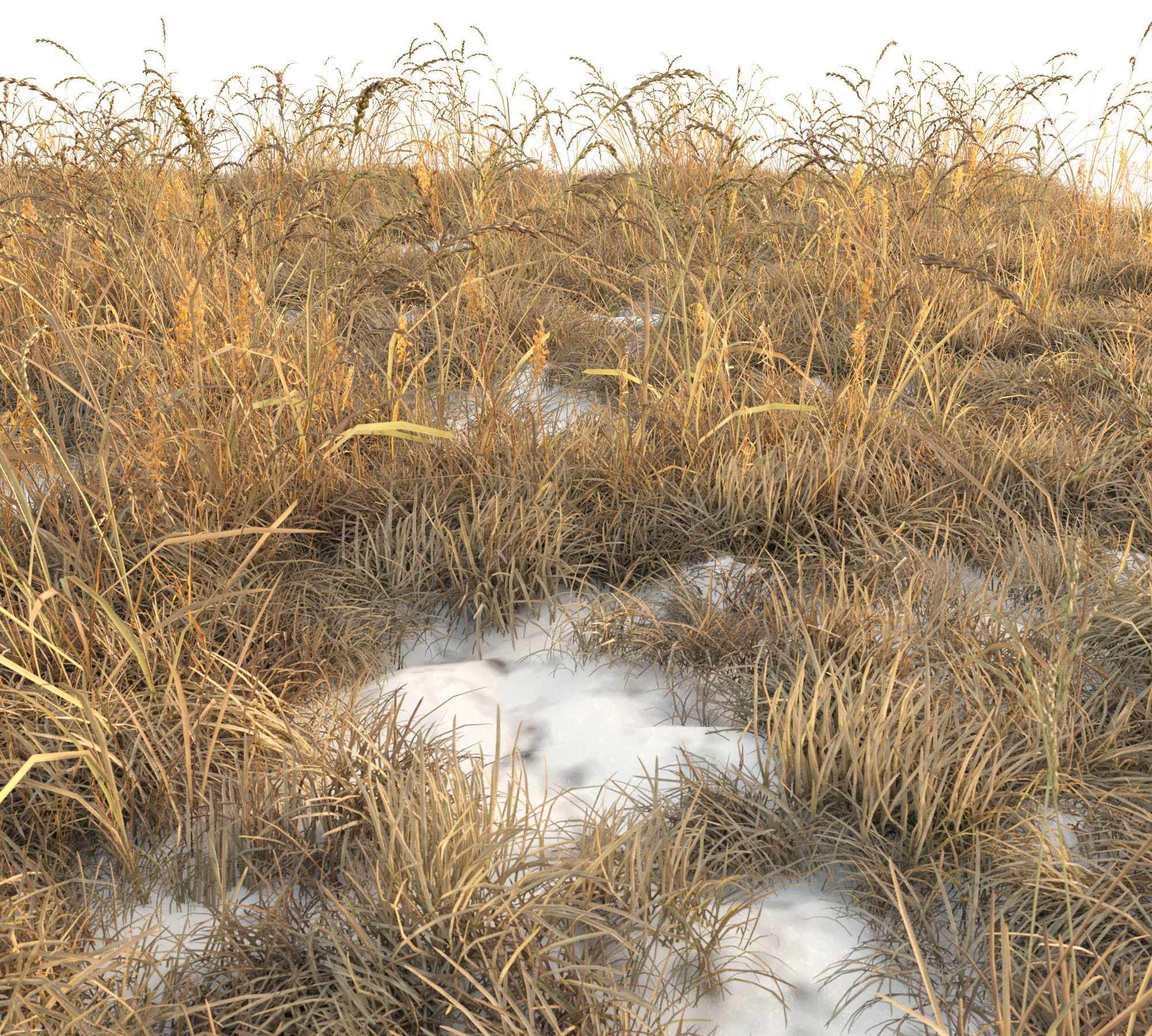 Dry grass with snow Low-poly 3D model_1