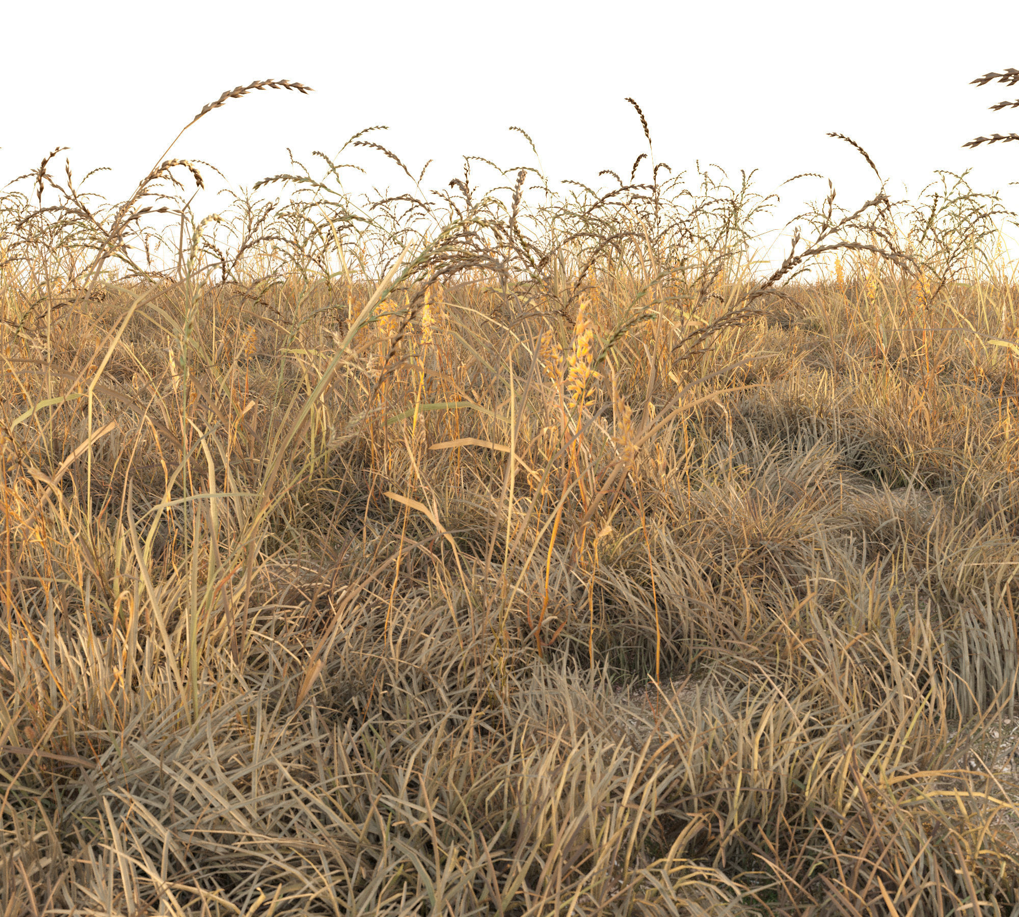 Dry grass with snow Low-poly 3D model_2