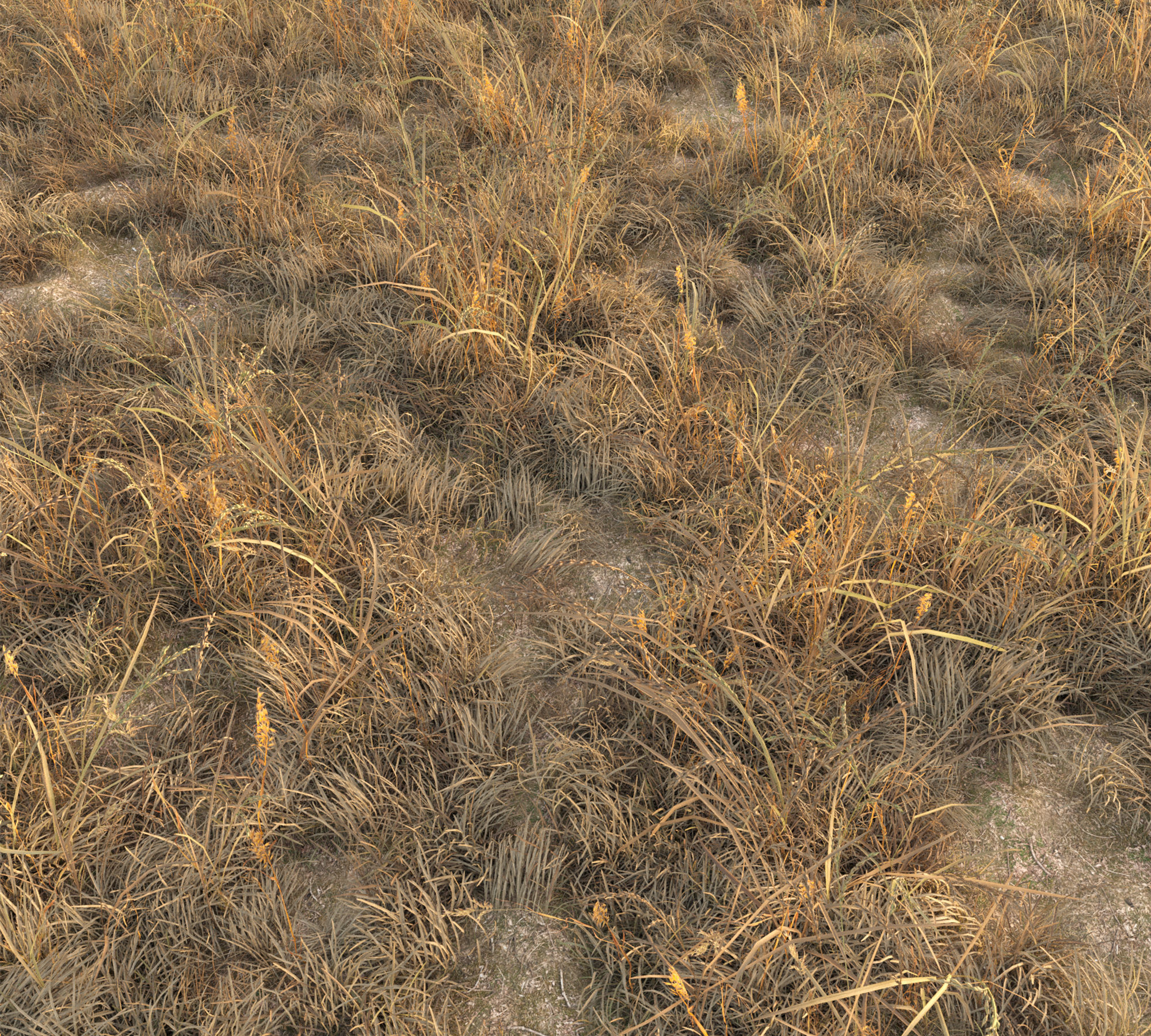 Dry grass with snow Low-poly 3D model_4