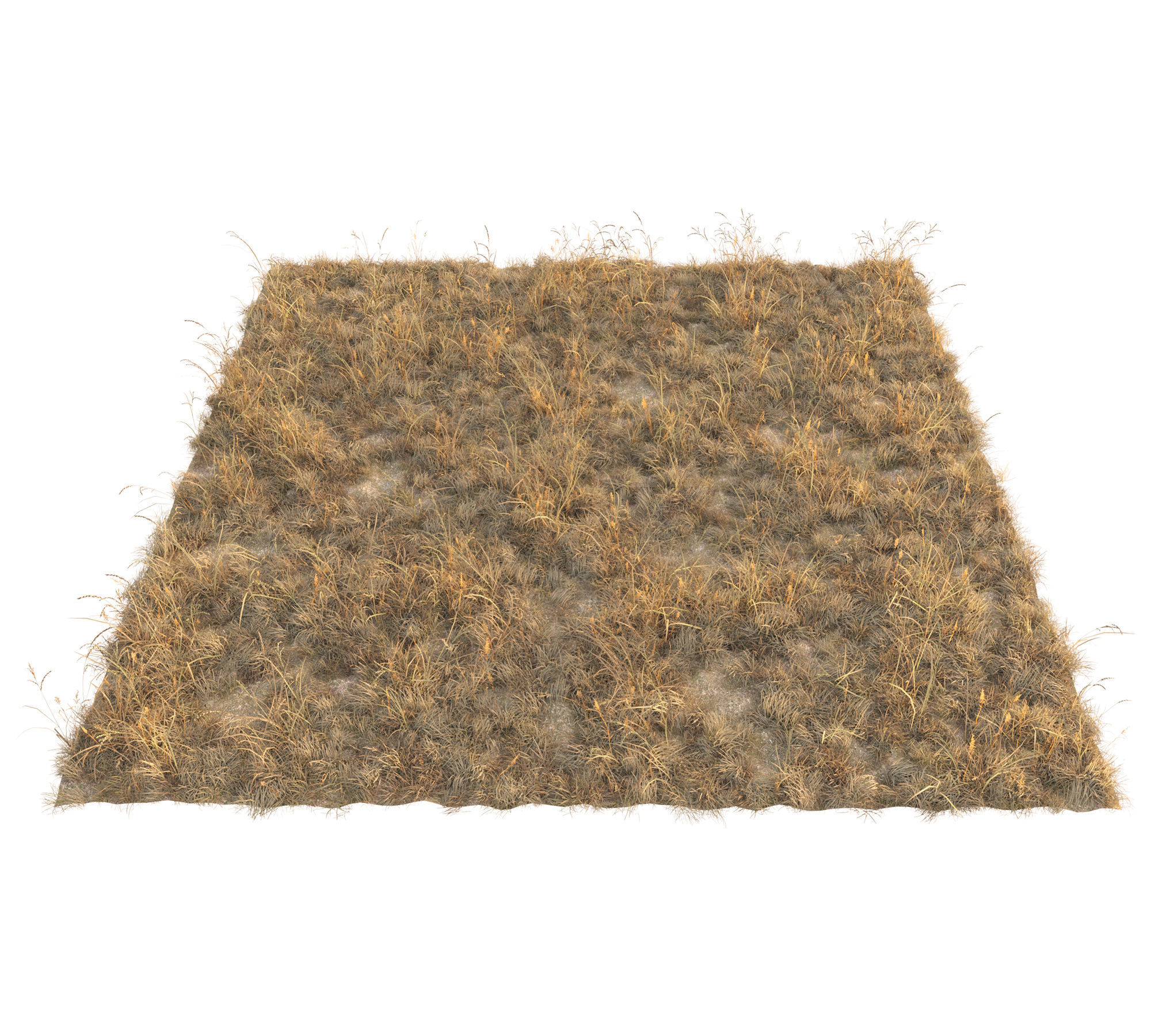 Dry grass with snow Low-poly 3D model_6