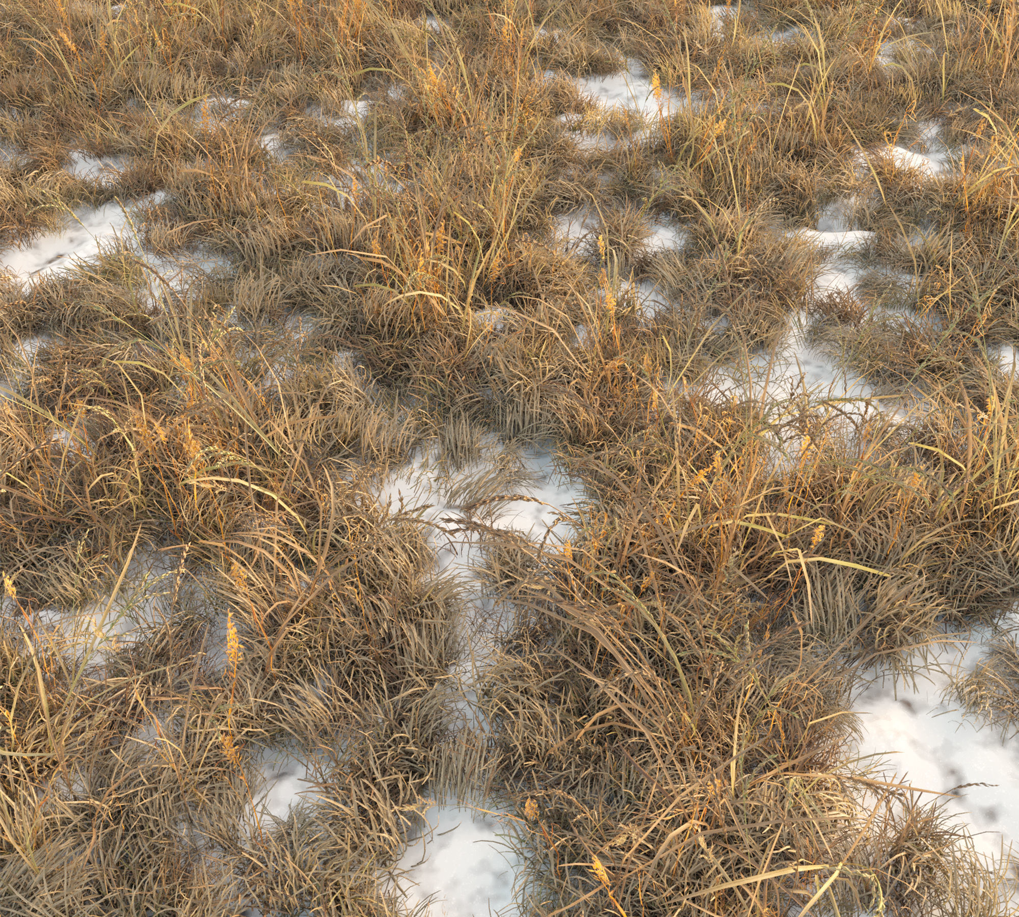 Dry grass with snow Low-poly 3D model_3