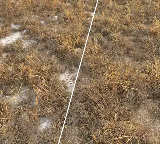 Dry grass with snow