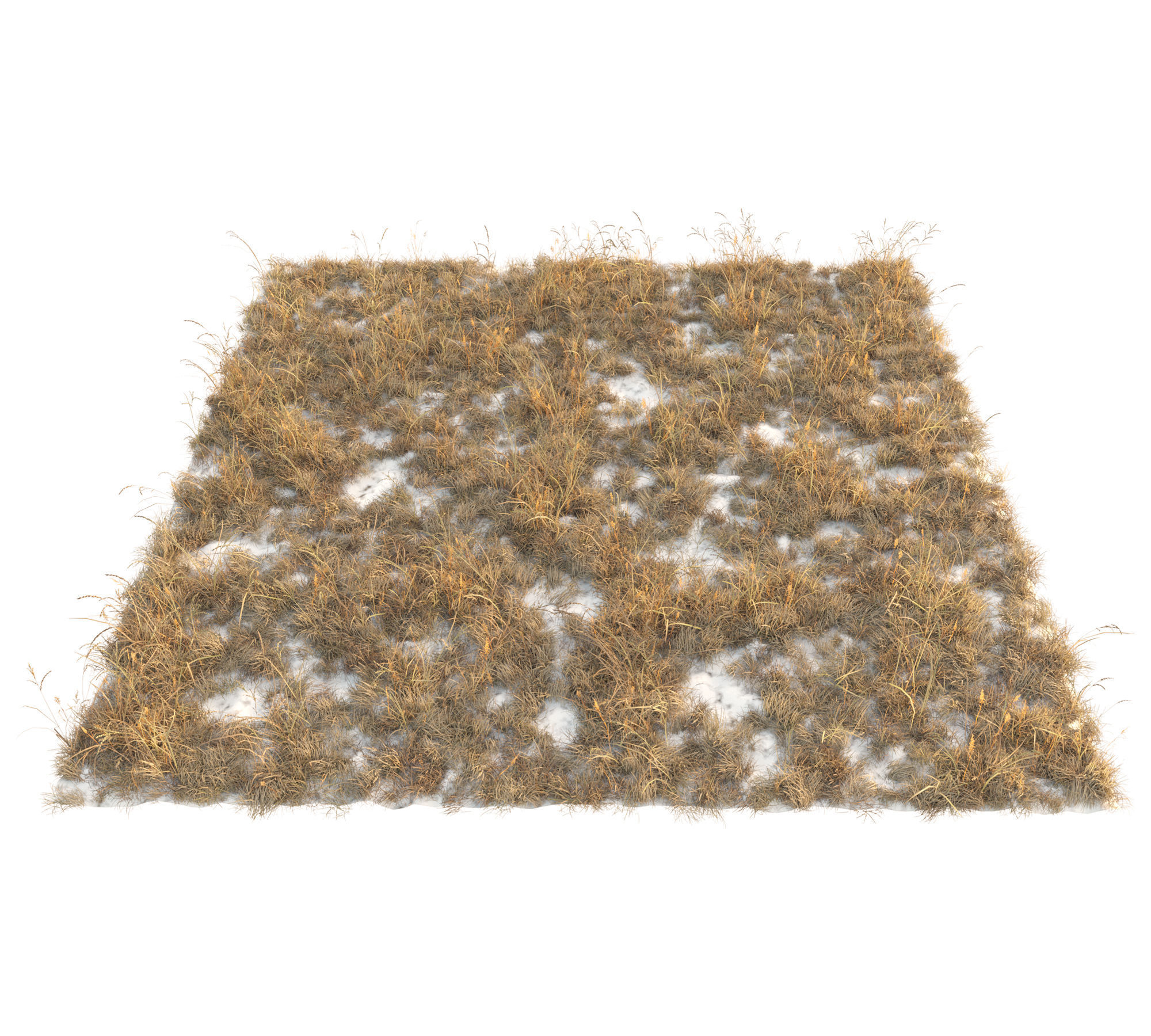 Dry grass with snow Low-poly 3D model_5