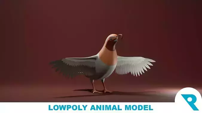 Quail Base Mesh Low-poly 3D model