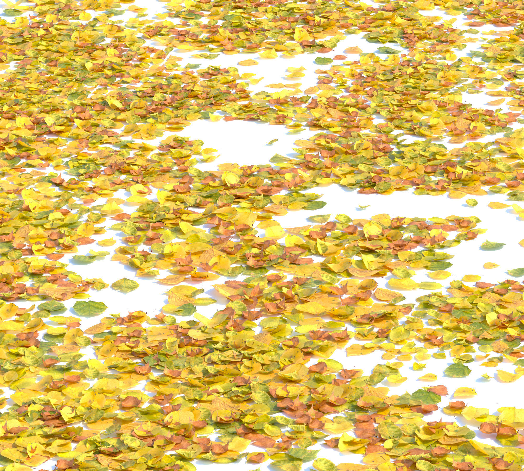 Autumn leaves Low-poly 3D model_2