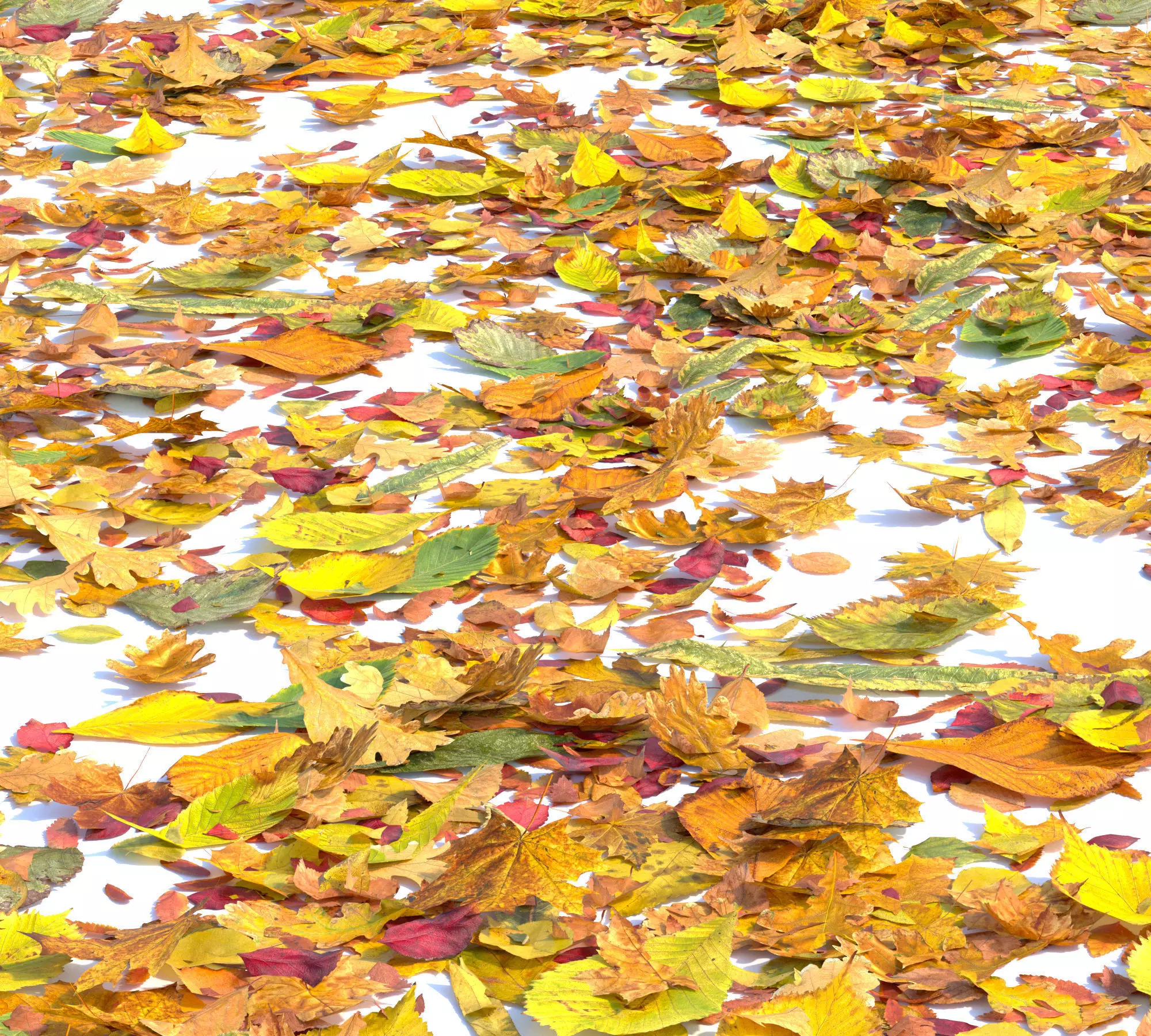 Autumn leaves Low-poly 3D model_0
