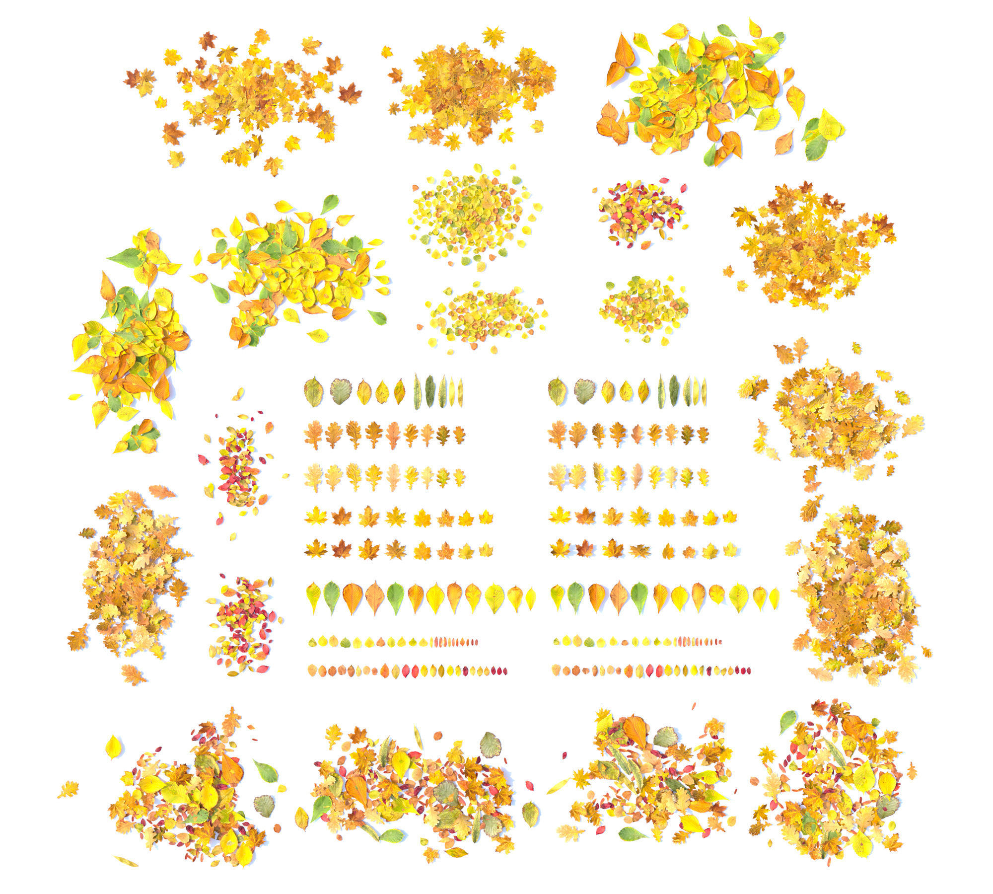 Autumn leaves Low-poly 3D model_6