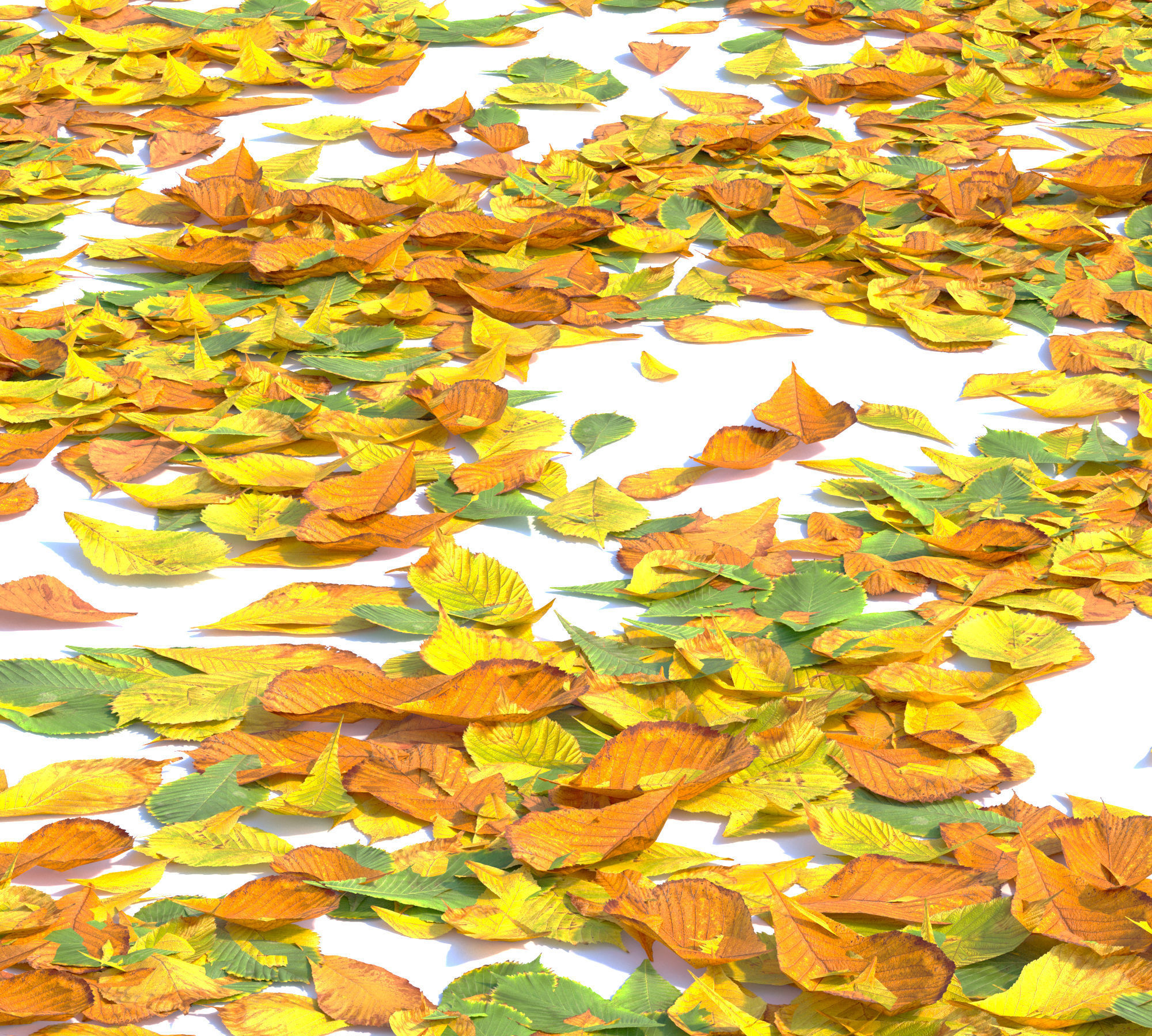 Autumn leaves Low-poly 3D model_3
