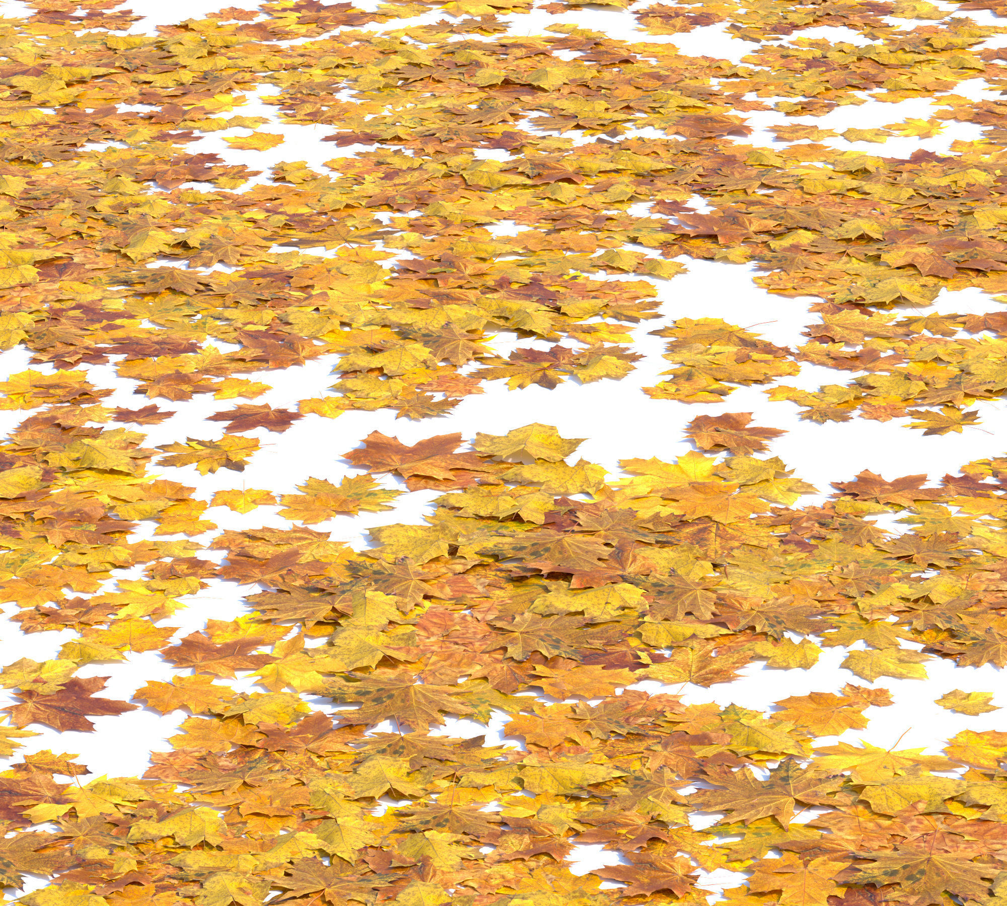Autumn leaves Low-poly 3D model_5
