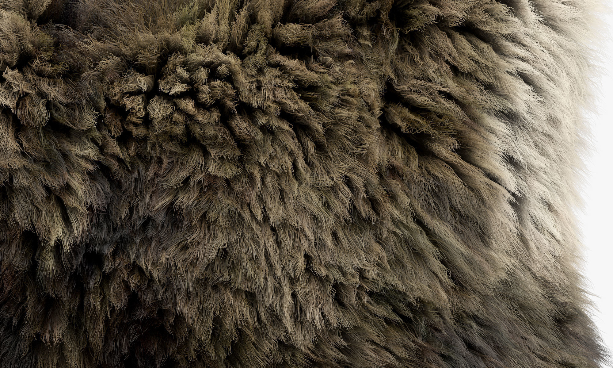Collection of 38 fur pillows 3D model_55